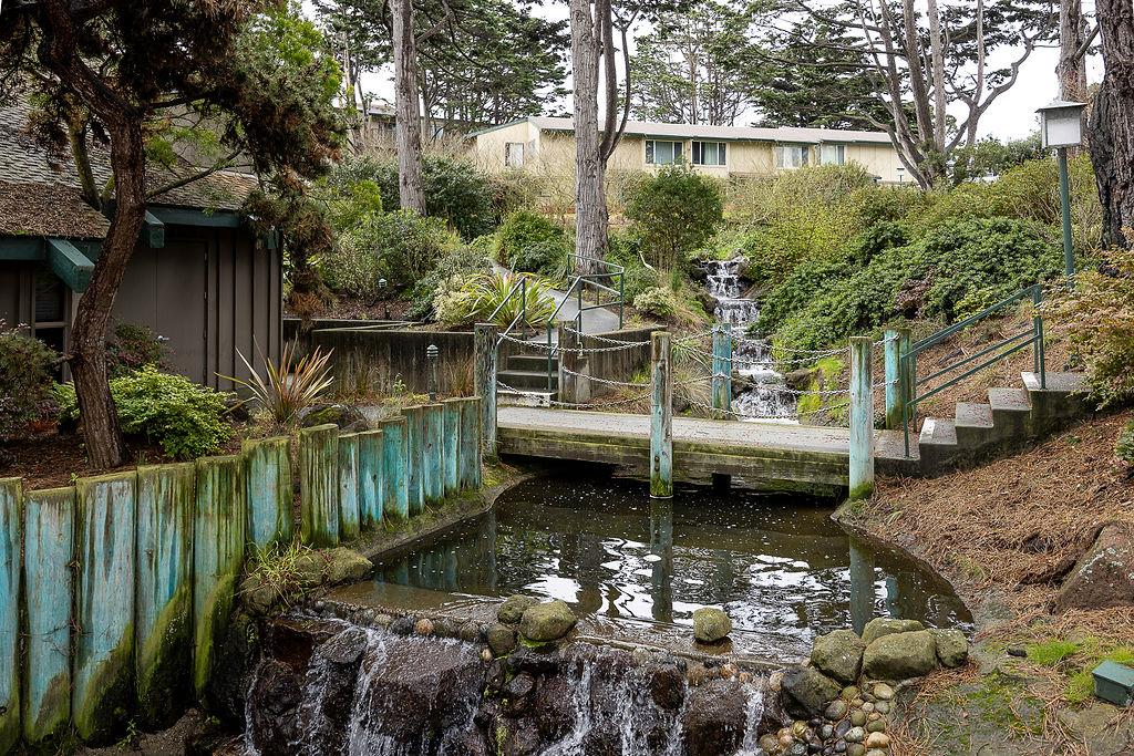 381 Half Moon Lane 207, Daly City