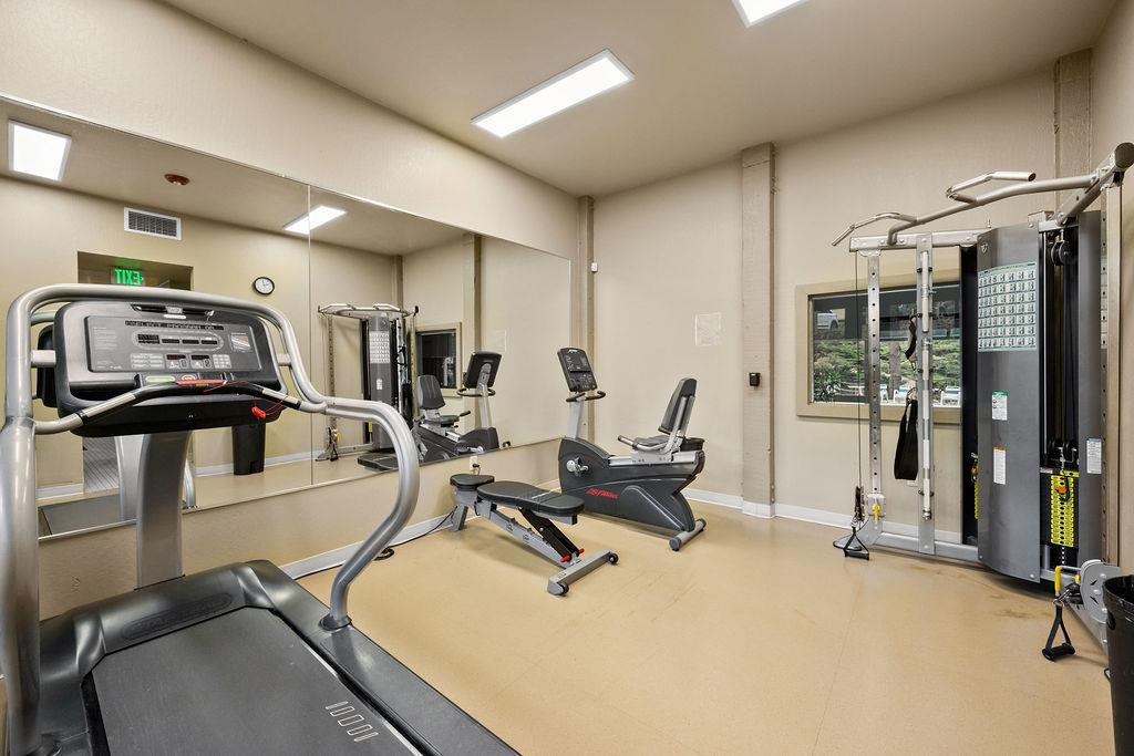 381 Half Moon Lane 207, Daly City