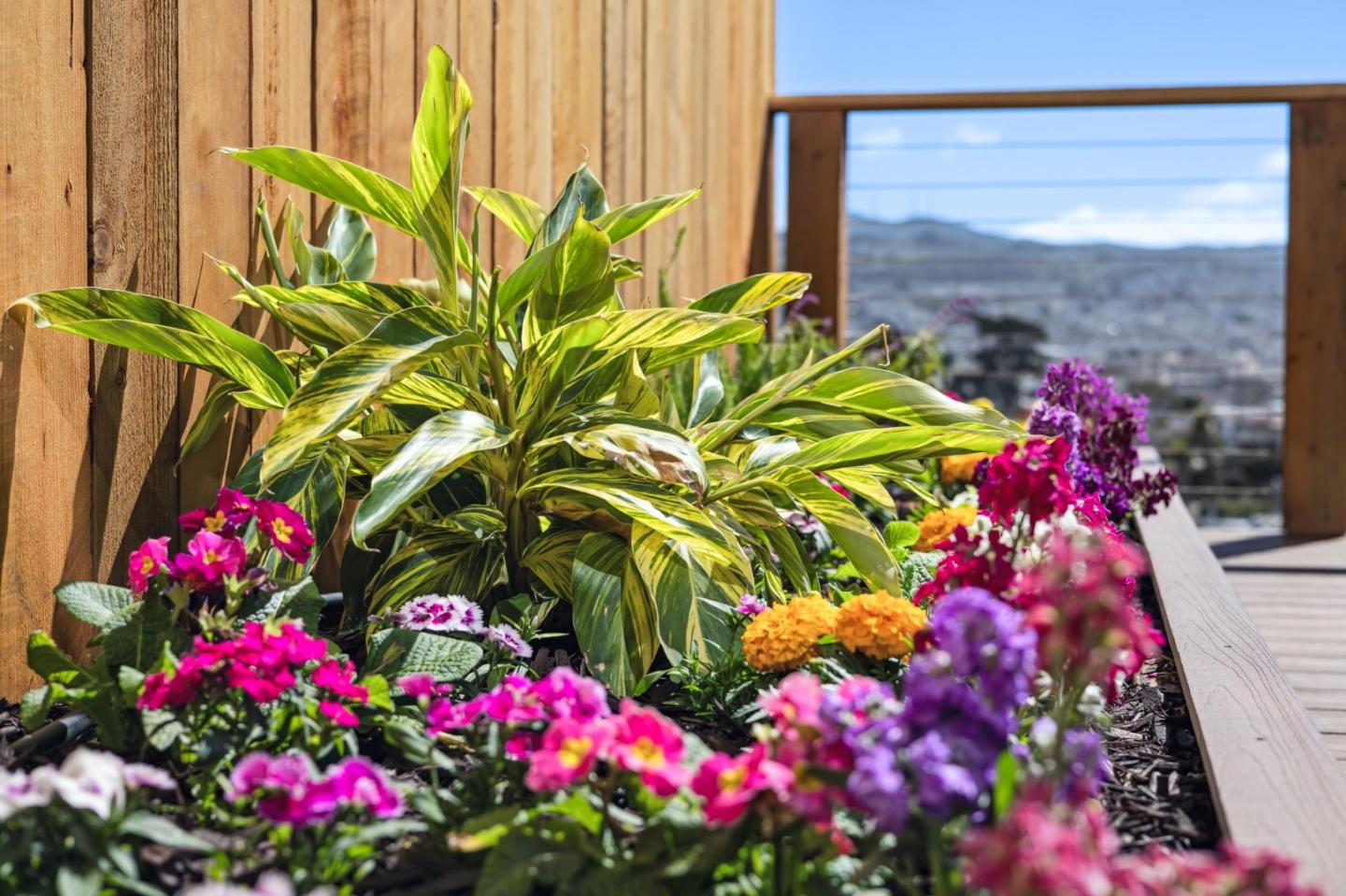 323 Monterey Boulevard