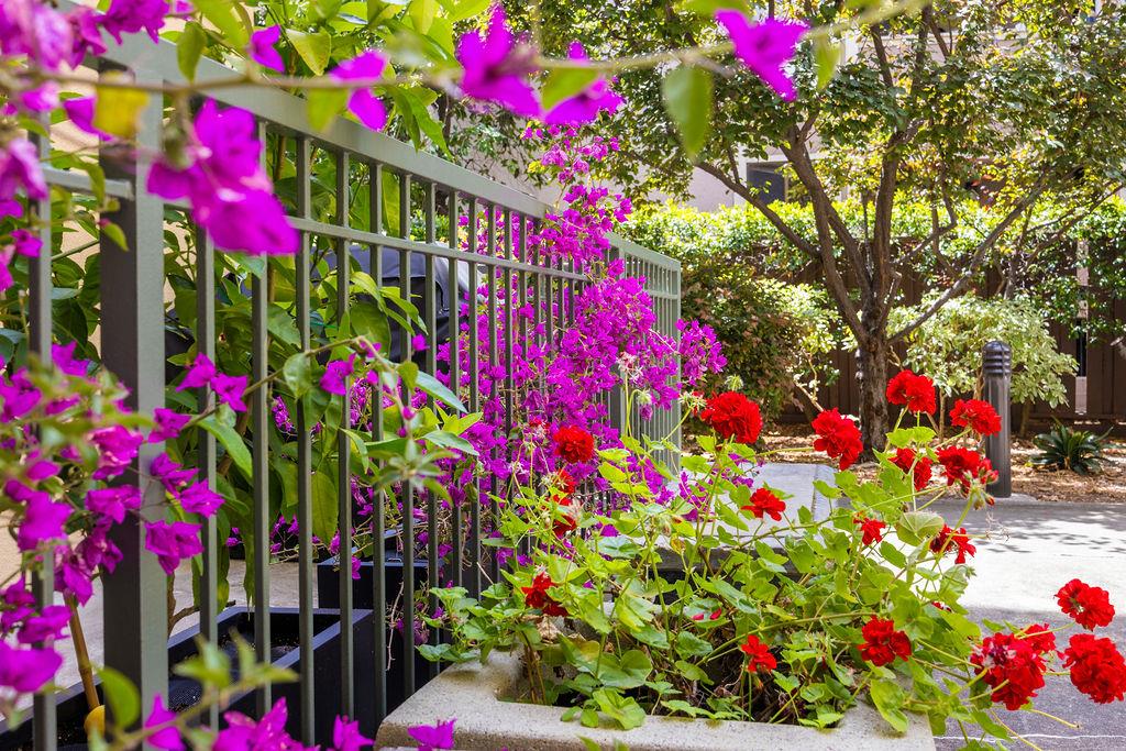 111 Saint Matthews Avenue #103, San Mateo