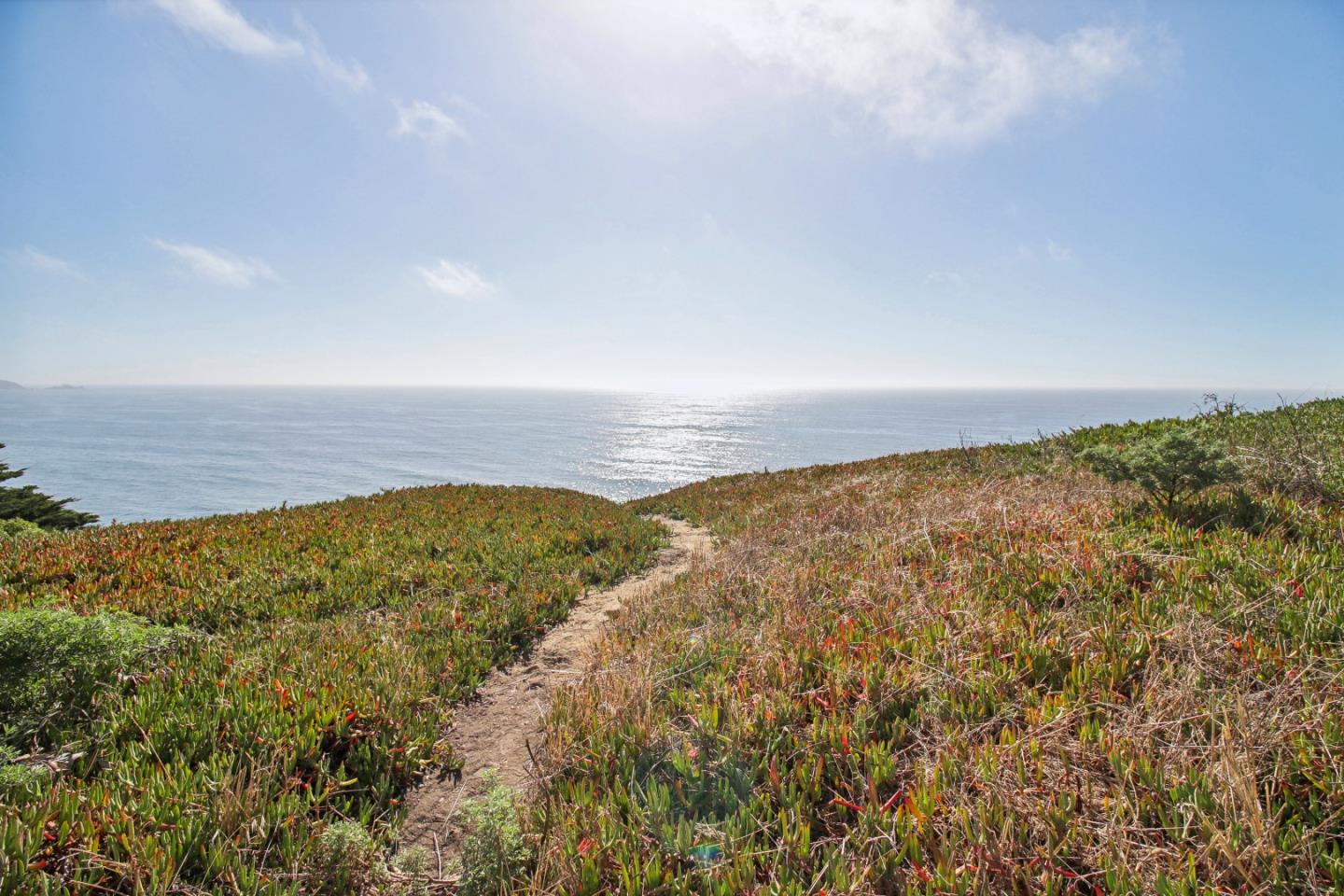 88 Westline Drive