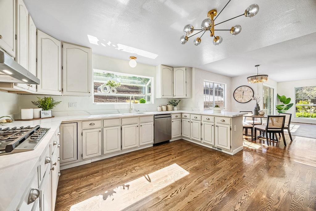 33 Niner CT