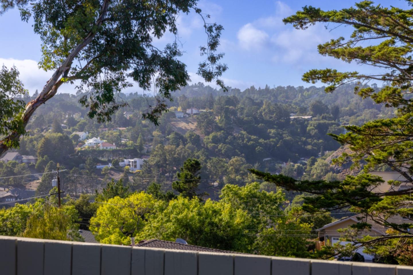 132 Lakeshore Drive, San Mateo