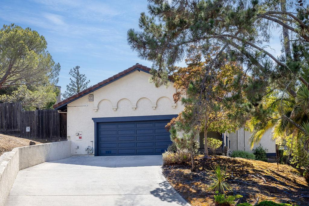 16 Niner CT