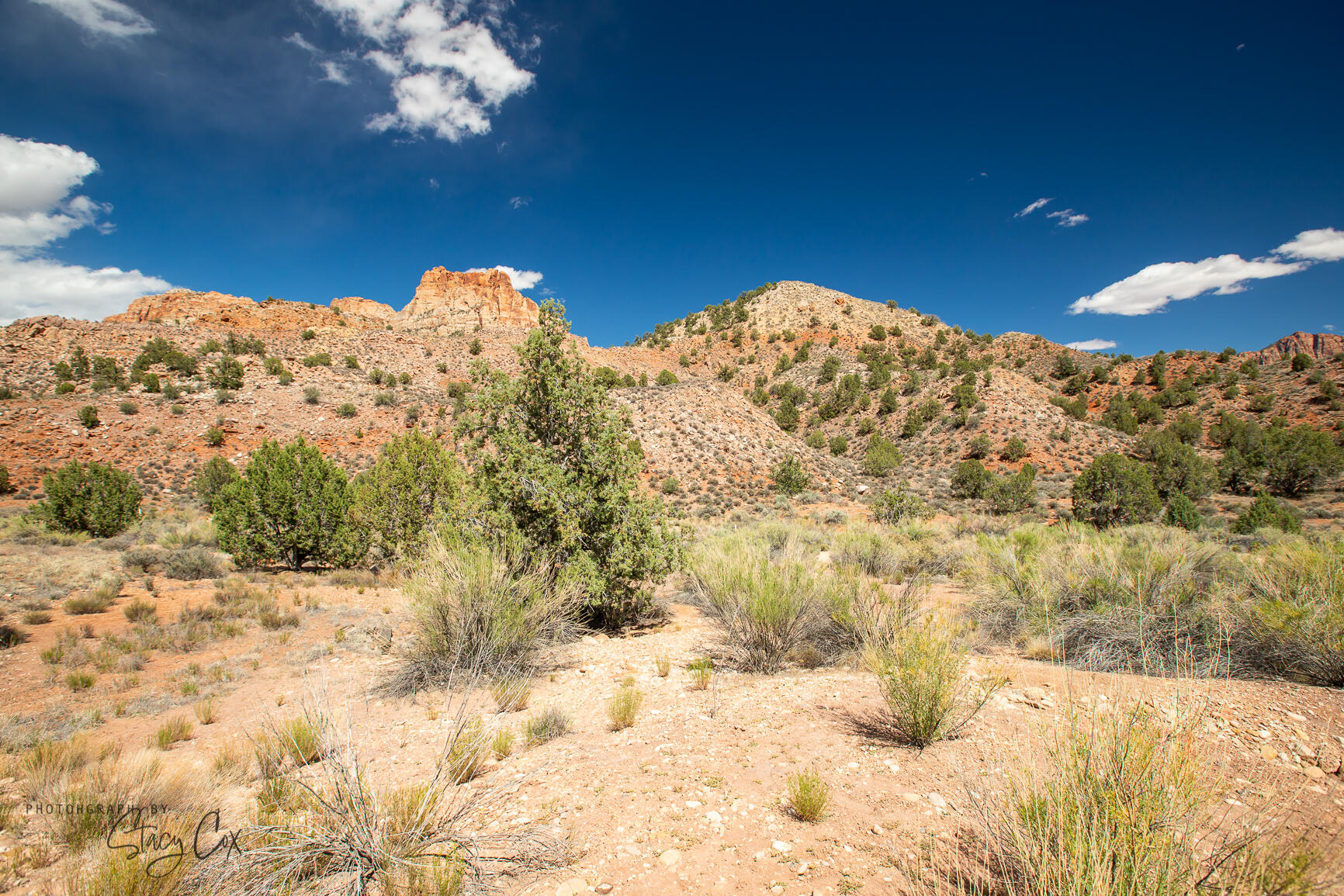 North Fork RD Unit: 8