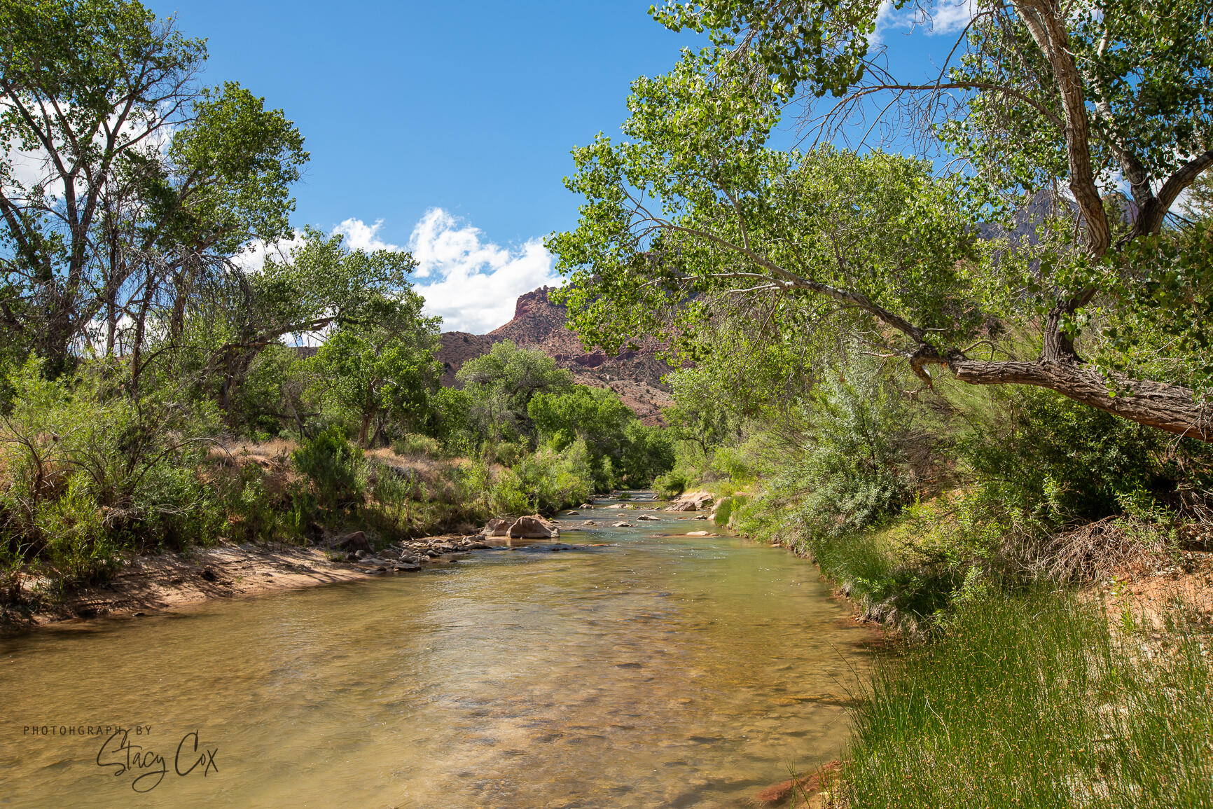 North Fork RD Unit: 8