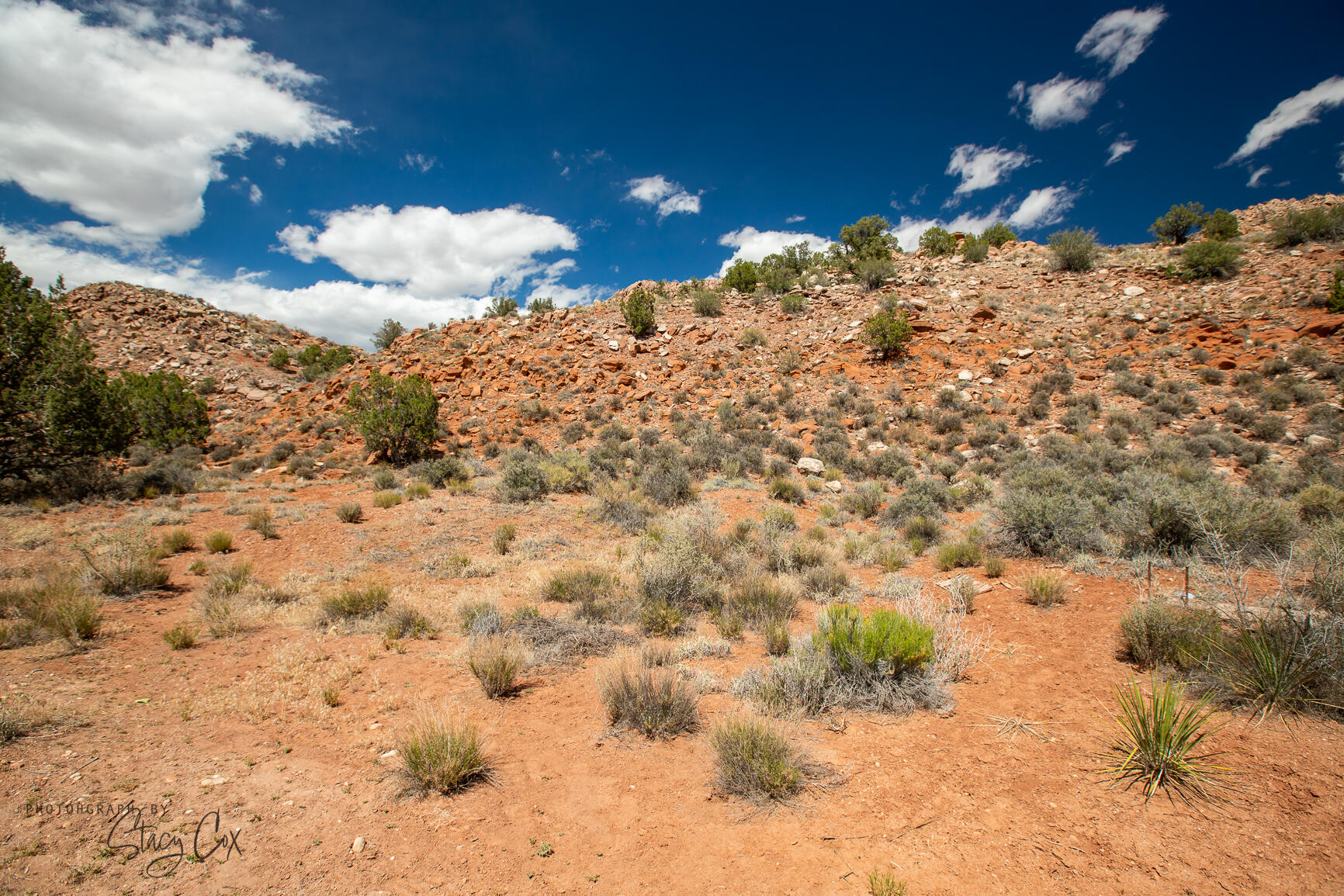 North Fork RD Unit: 8