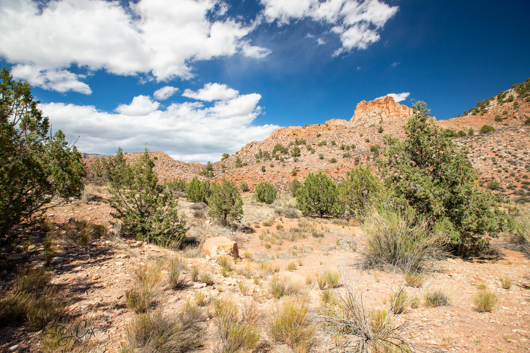 North Fork RD Unit: 8