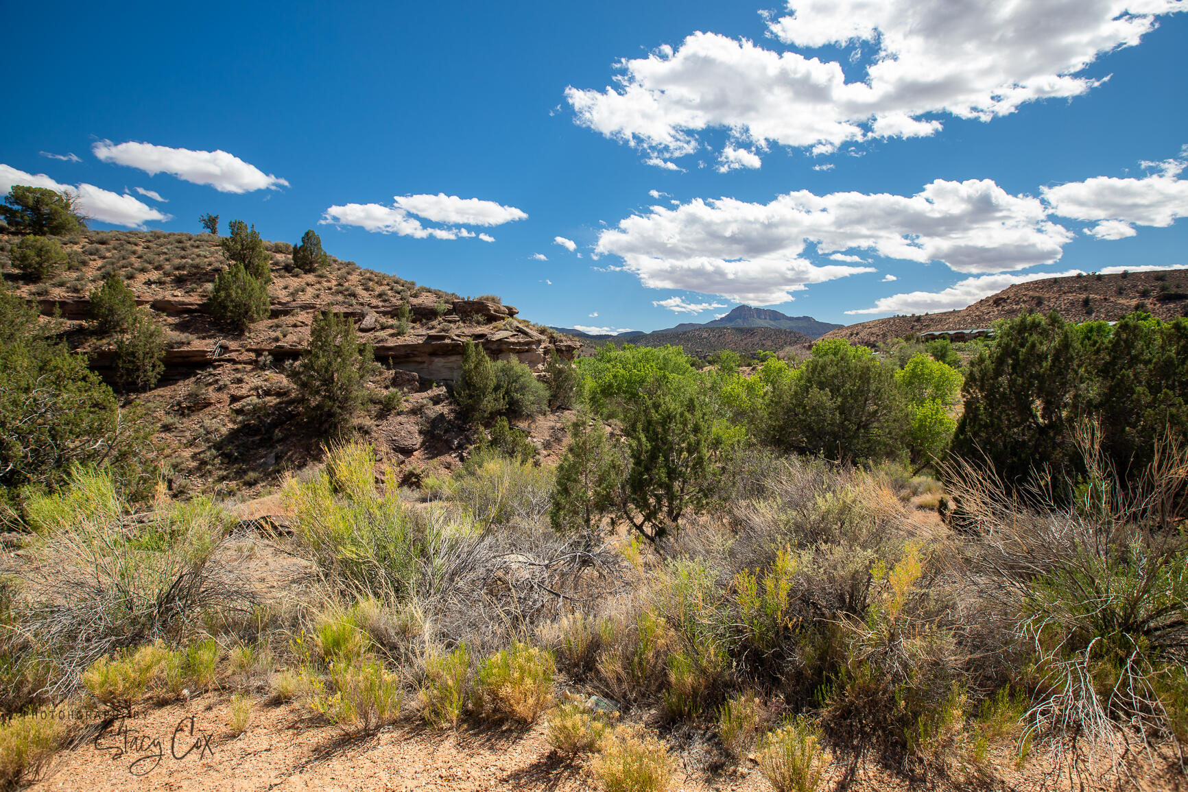 North Fork RD Unit: 8