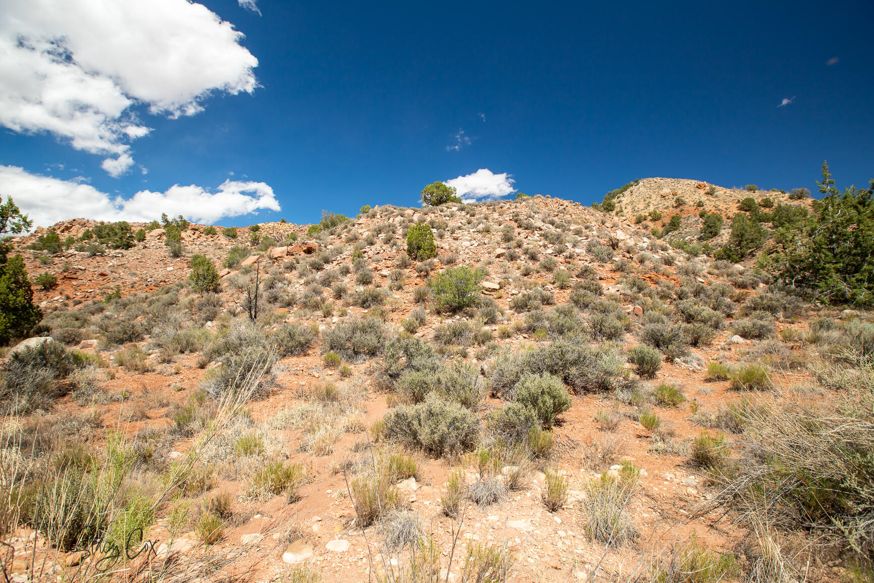 North Fork RD Unit: 9