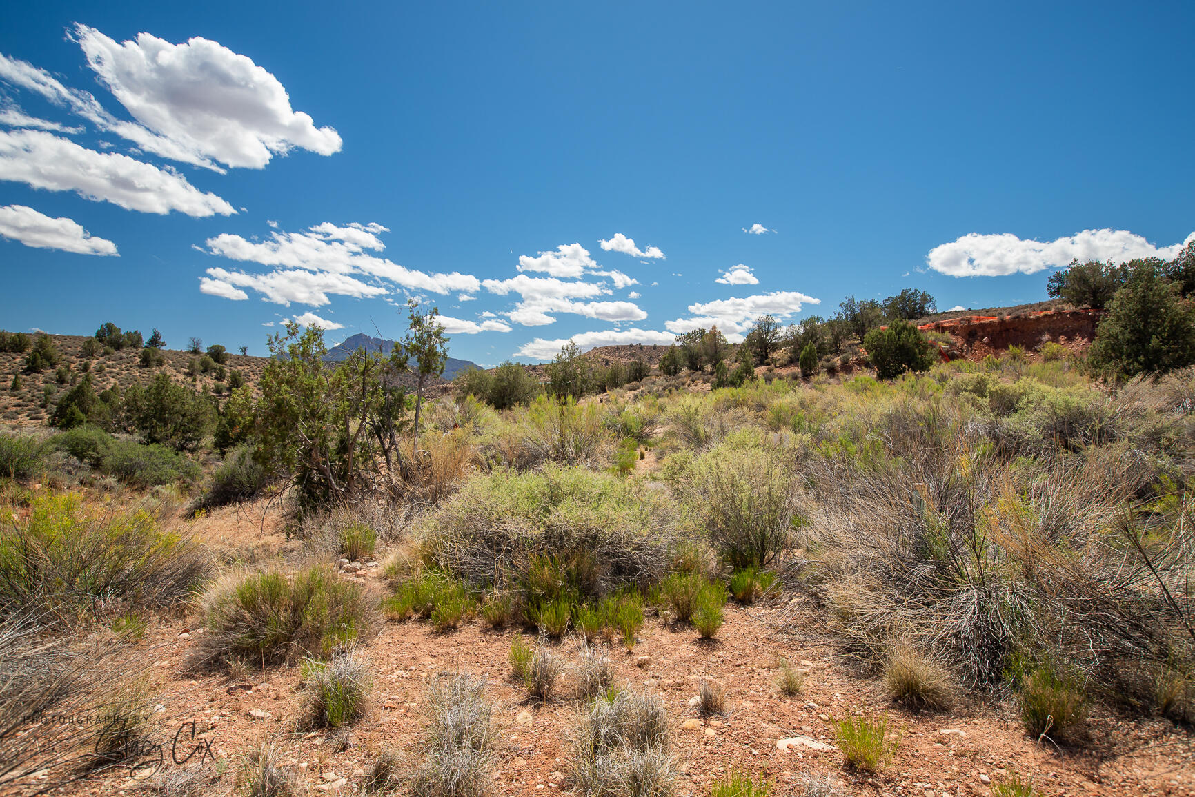 North Fork RD Unit: 9