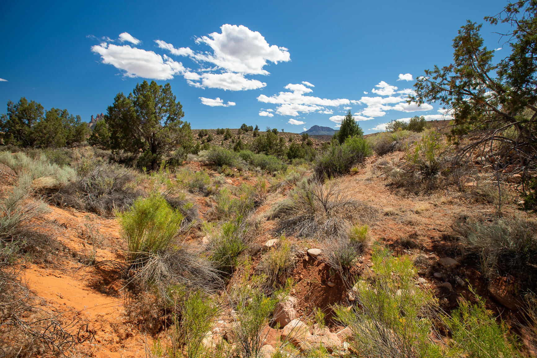 North Fork RD Unit: 9