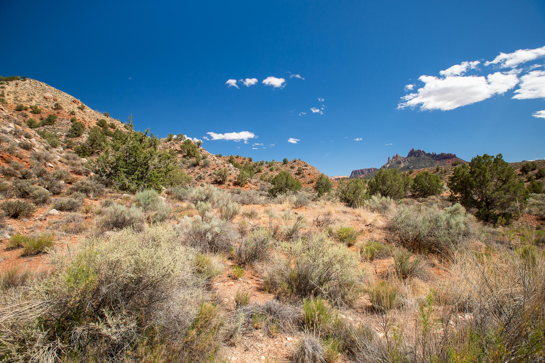 North Fork RD Unit: 9