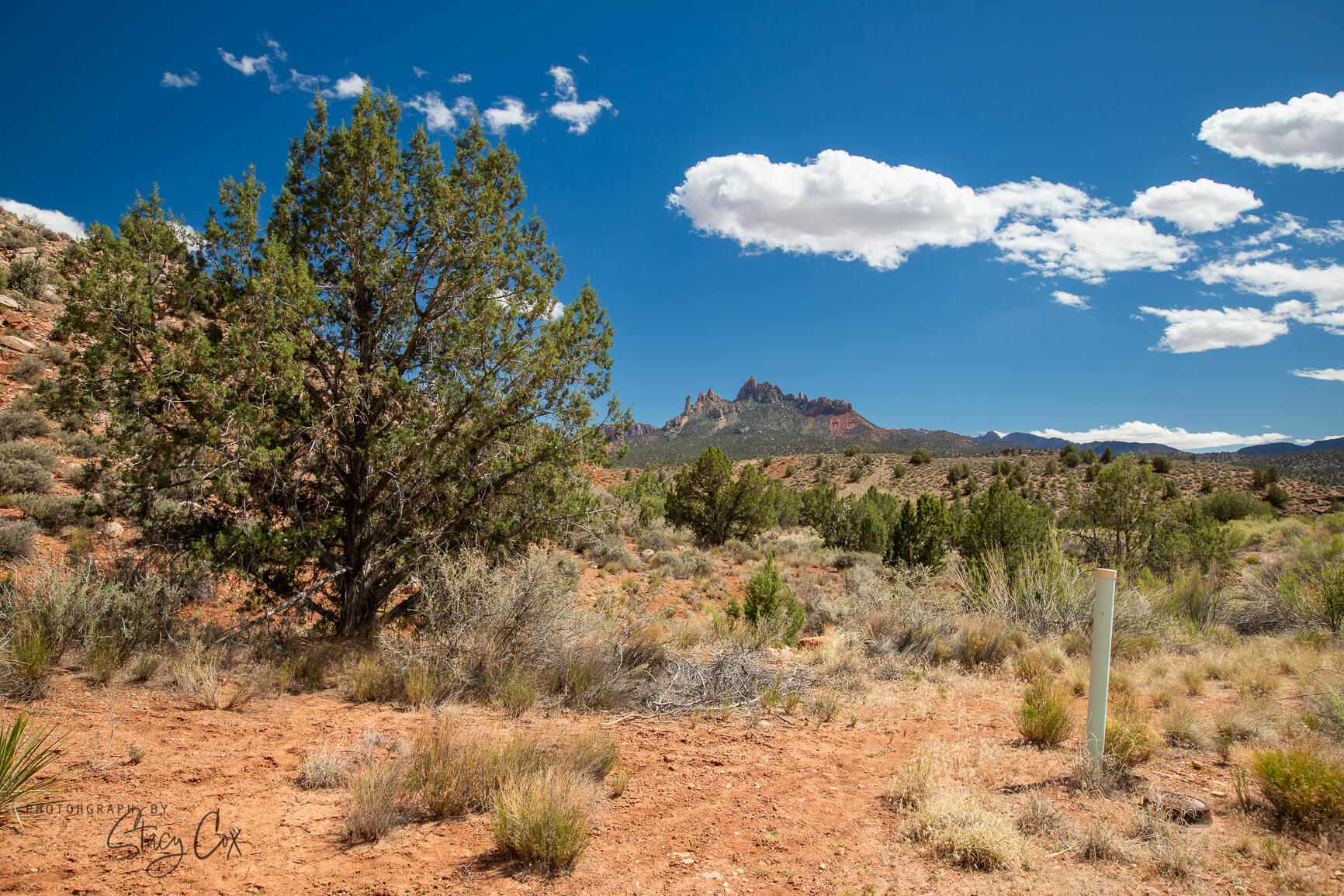 North Fork RD Unit: 10