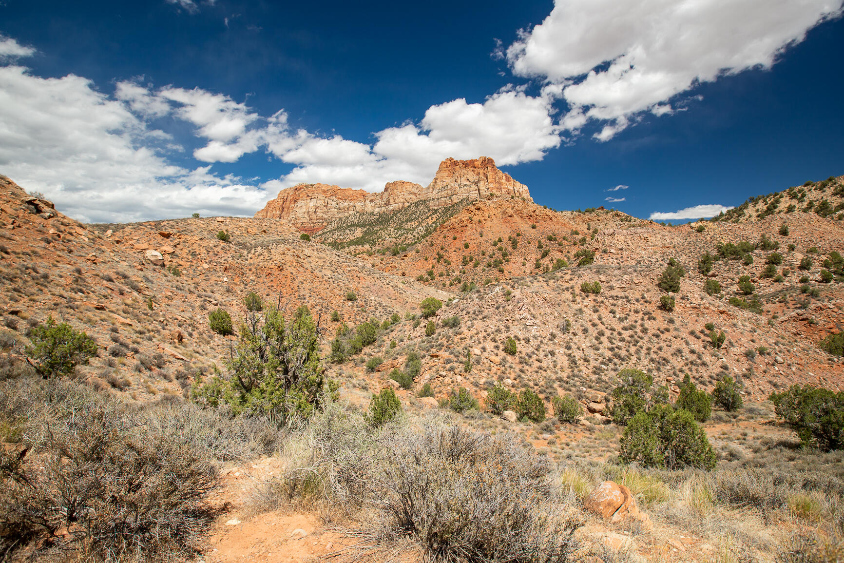 North Fork RD Unit: 11