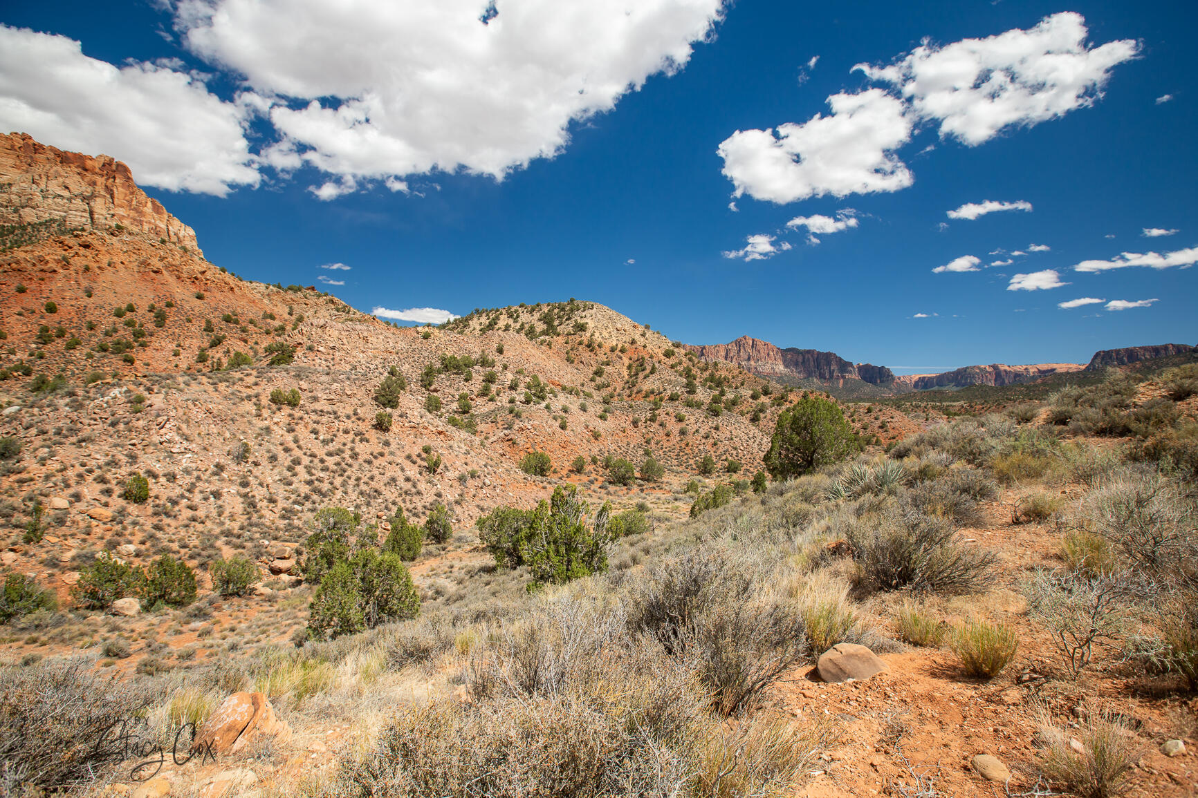 North Fork RD Unit: 11