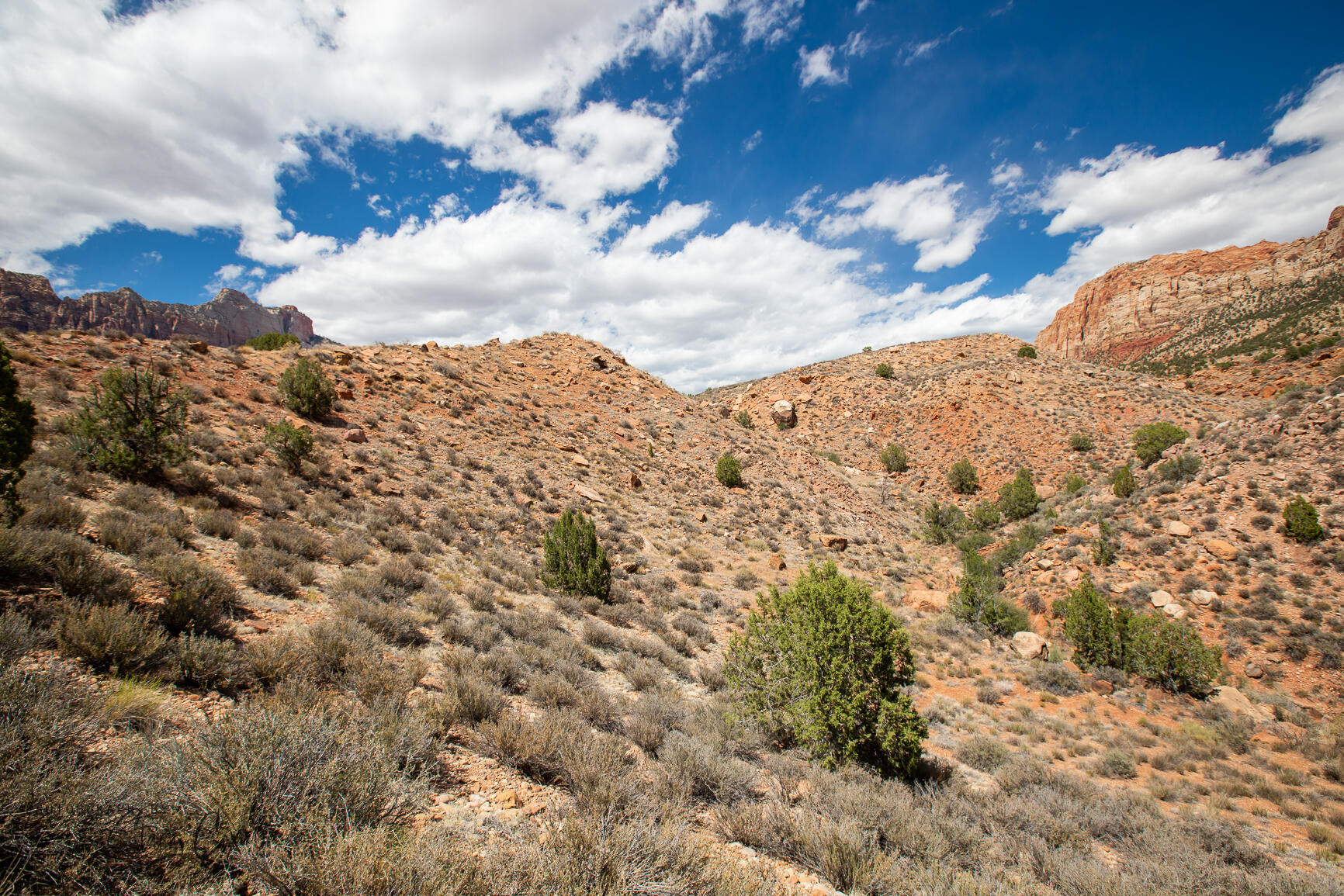 North Fork RD Unit: 11