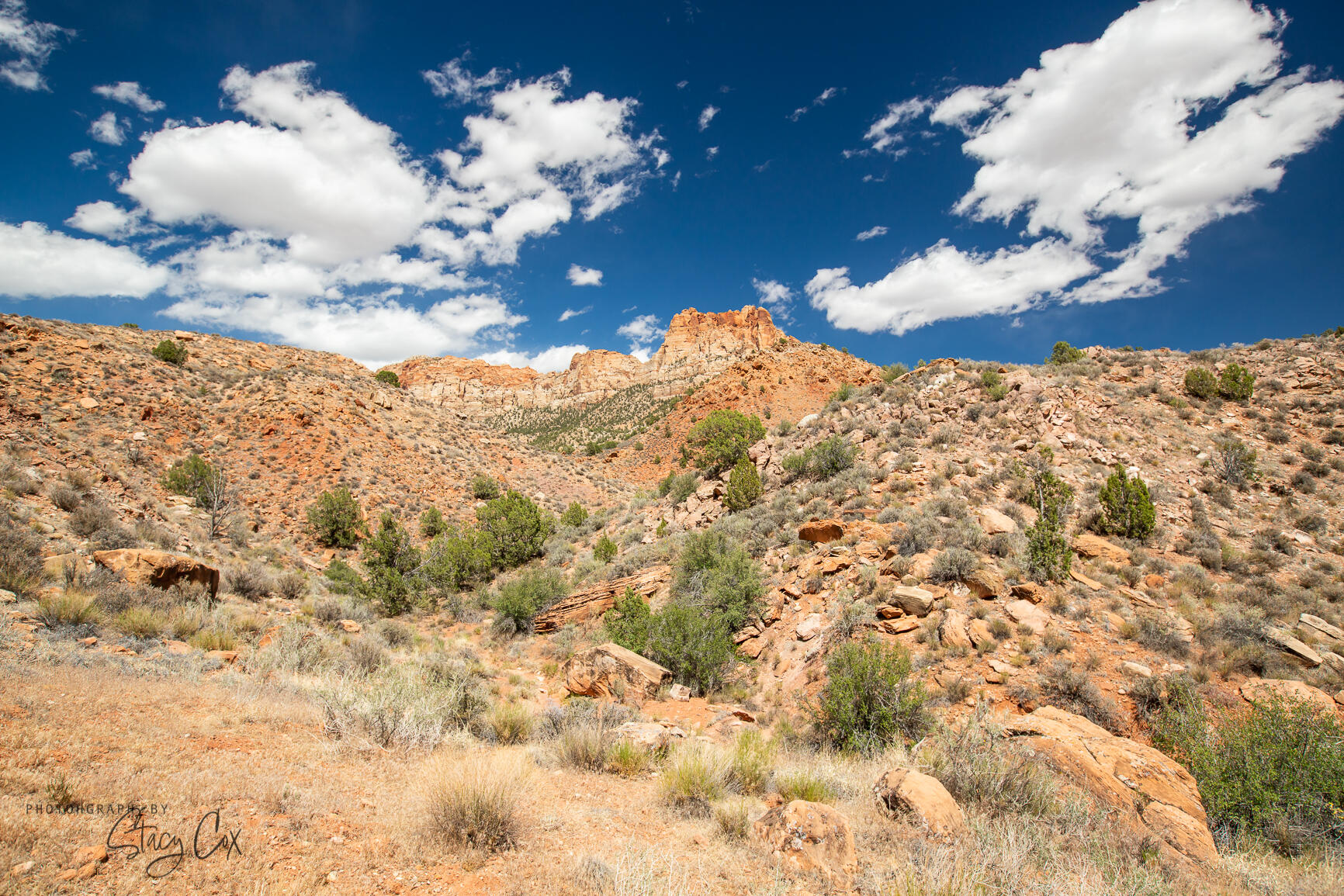 North Fork RD Unit: 11