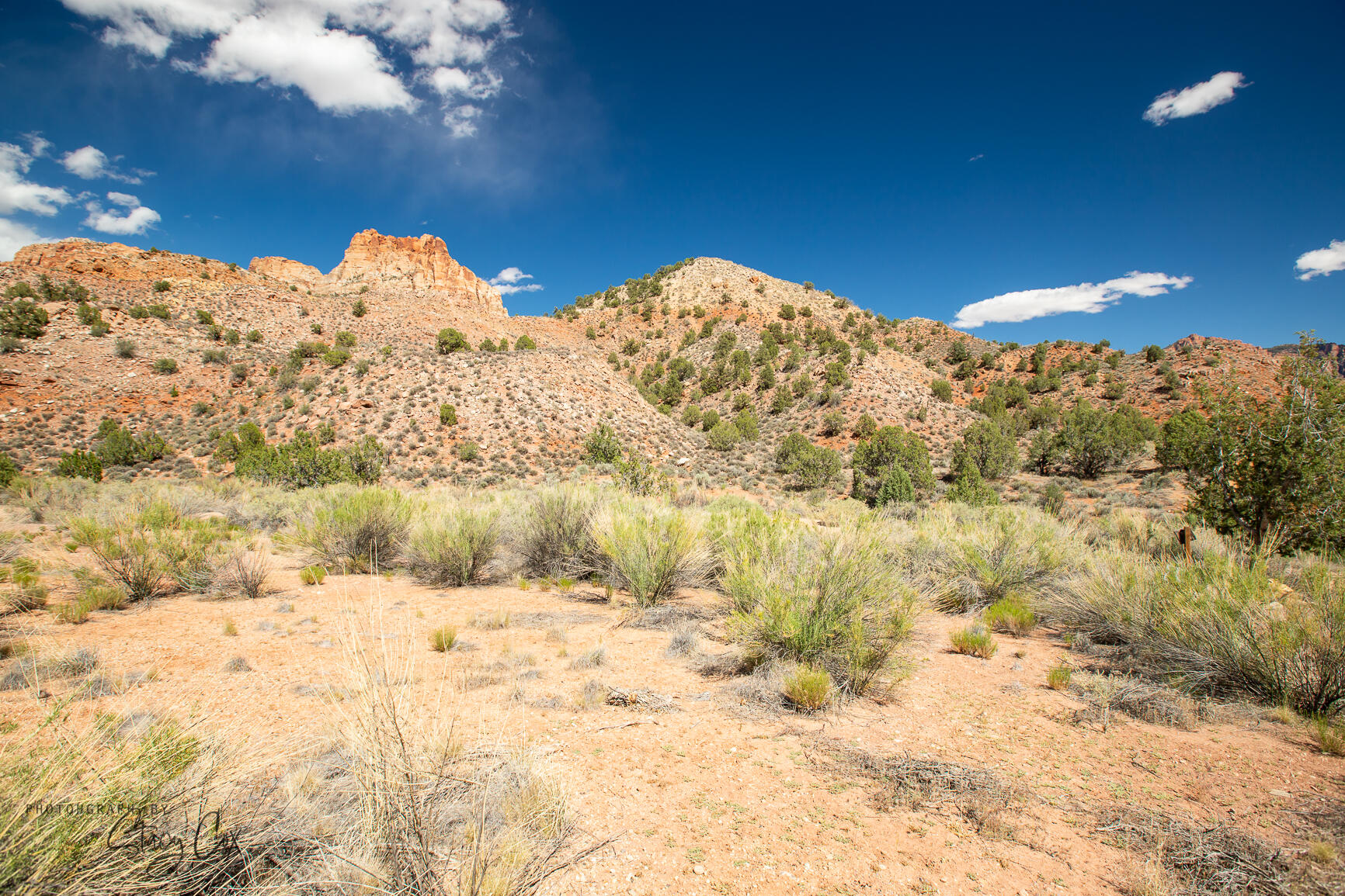 11 N Fork DR Unit: 8,9,10,11