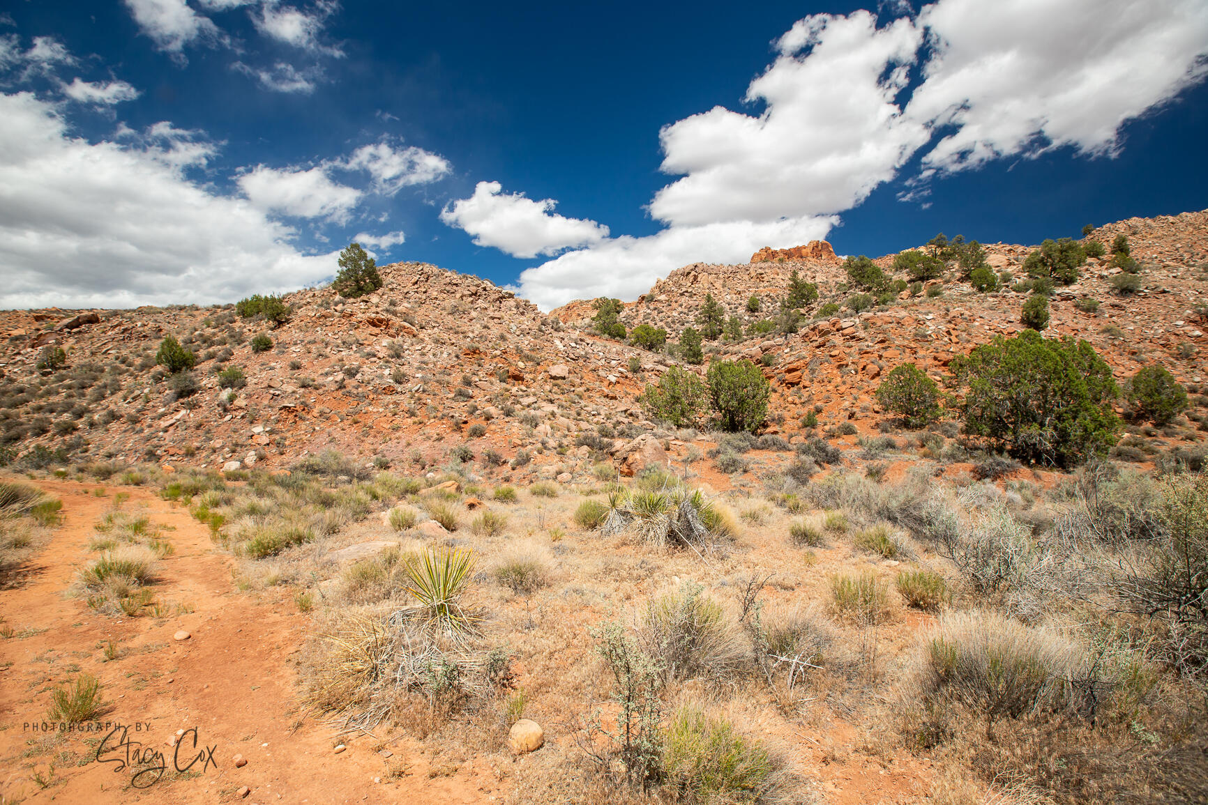 11 N Fork DR Unit: 8,9,10,11