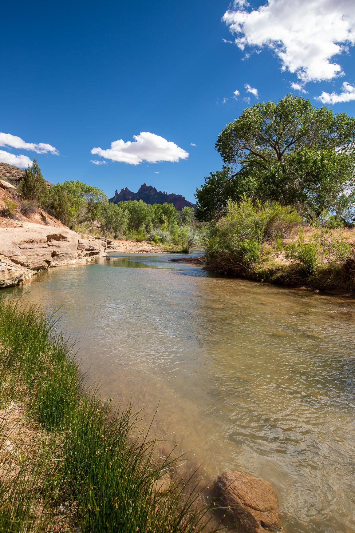 11 N Fork DR Unit: 8,9,10,11