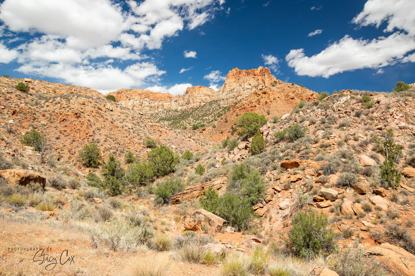 11 N Fork DR Unit: 8,9,10,11