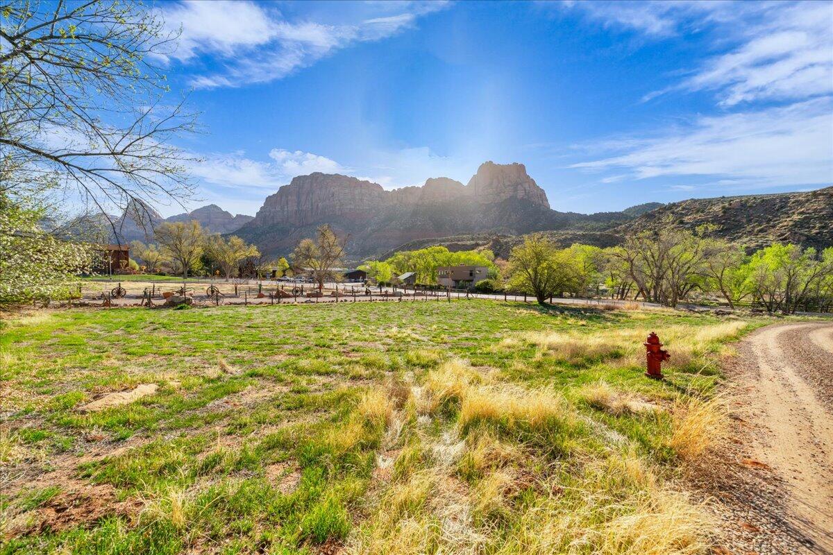 Zion Park Blvd