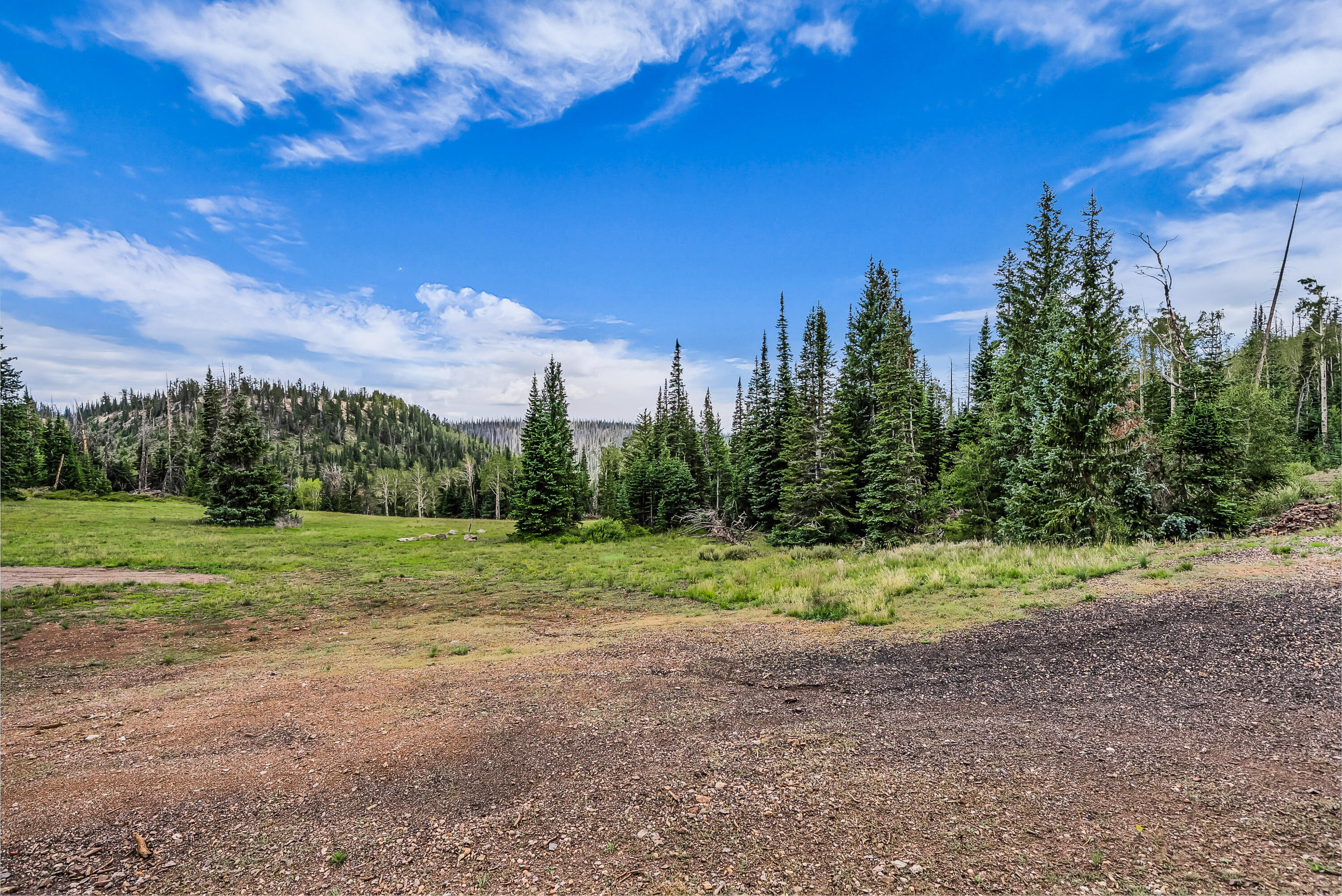 167 Zion View DR