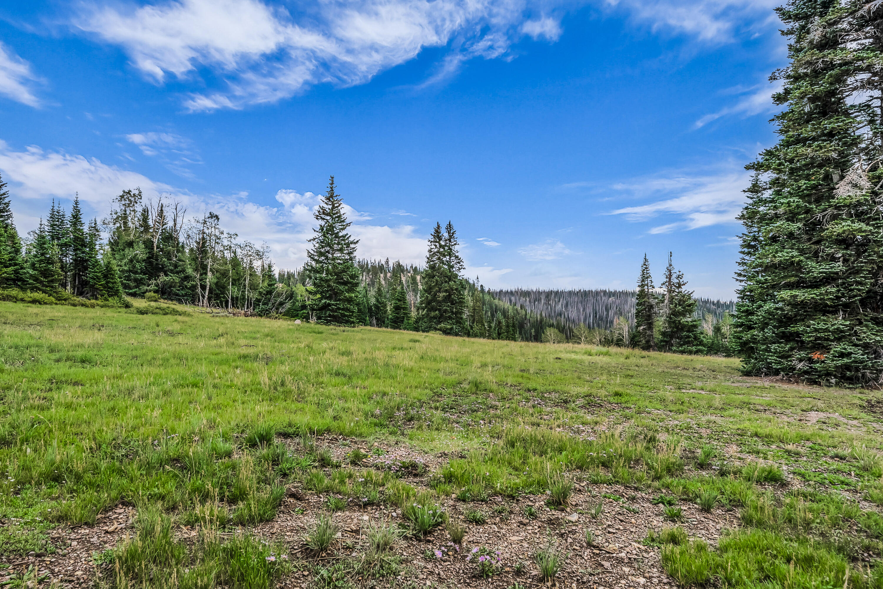 167 Zion View DR