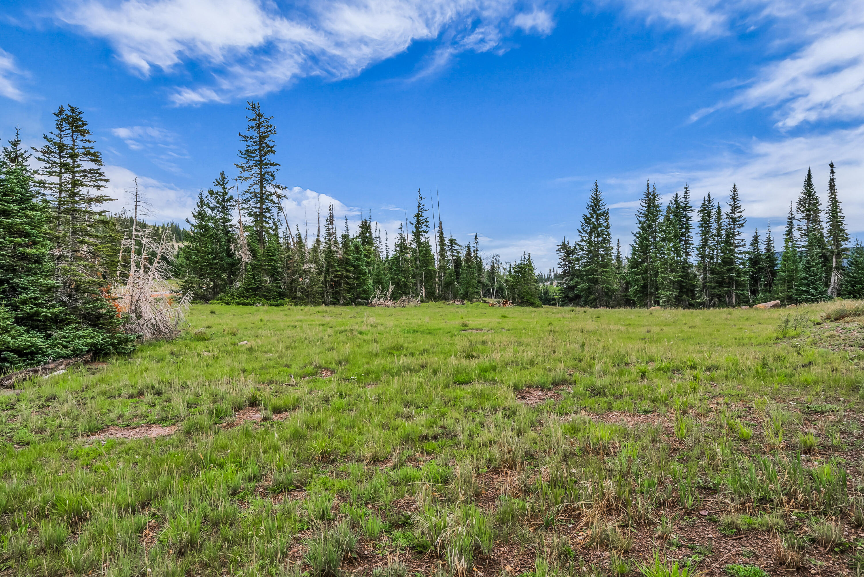 167 Zion View DR
