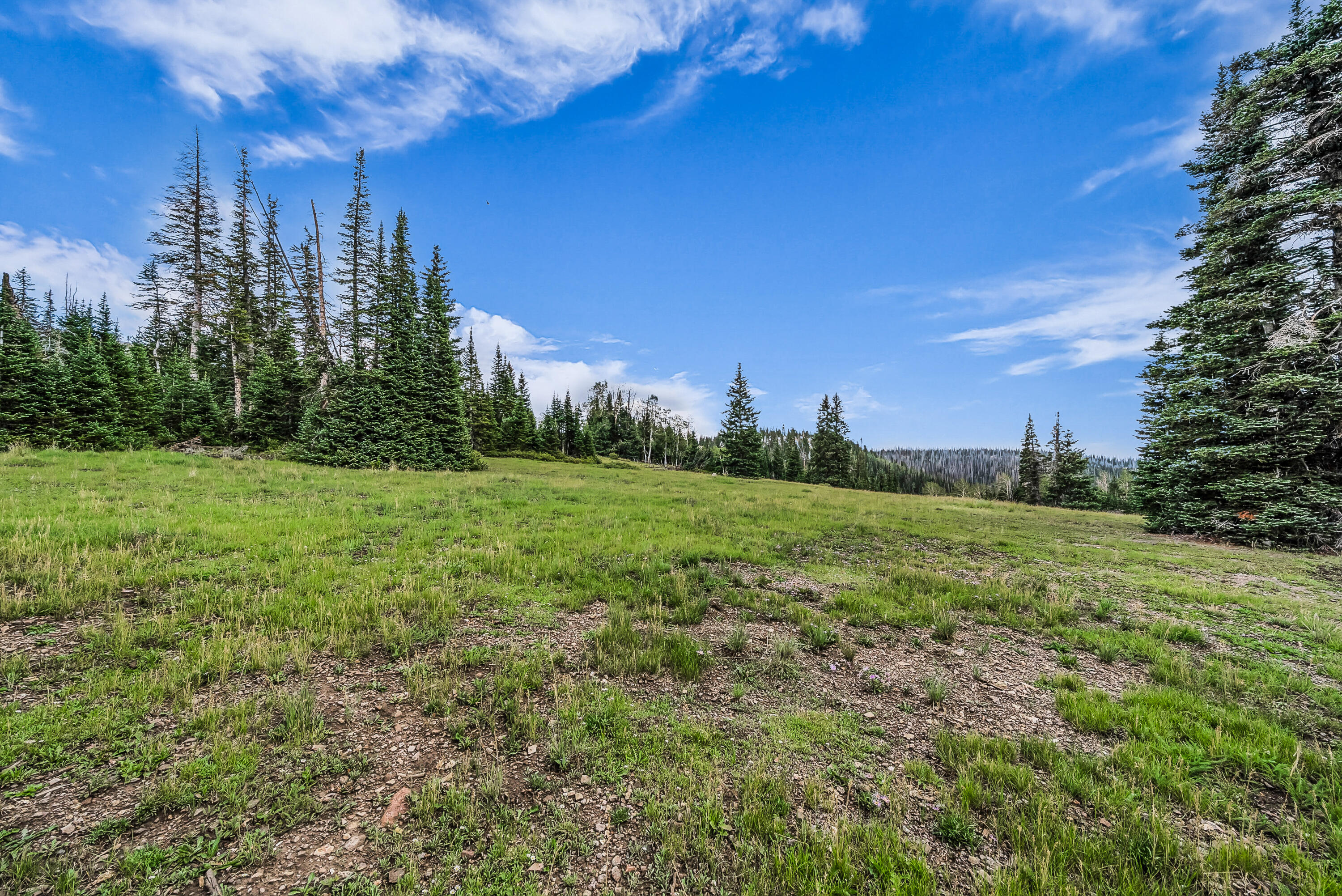 167 Zion View DR