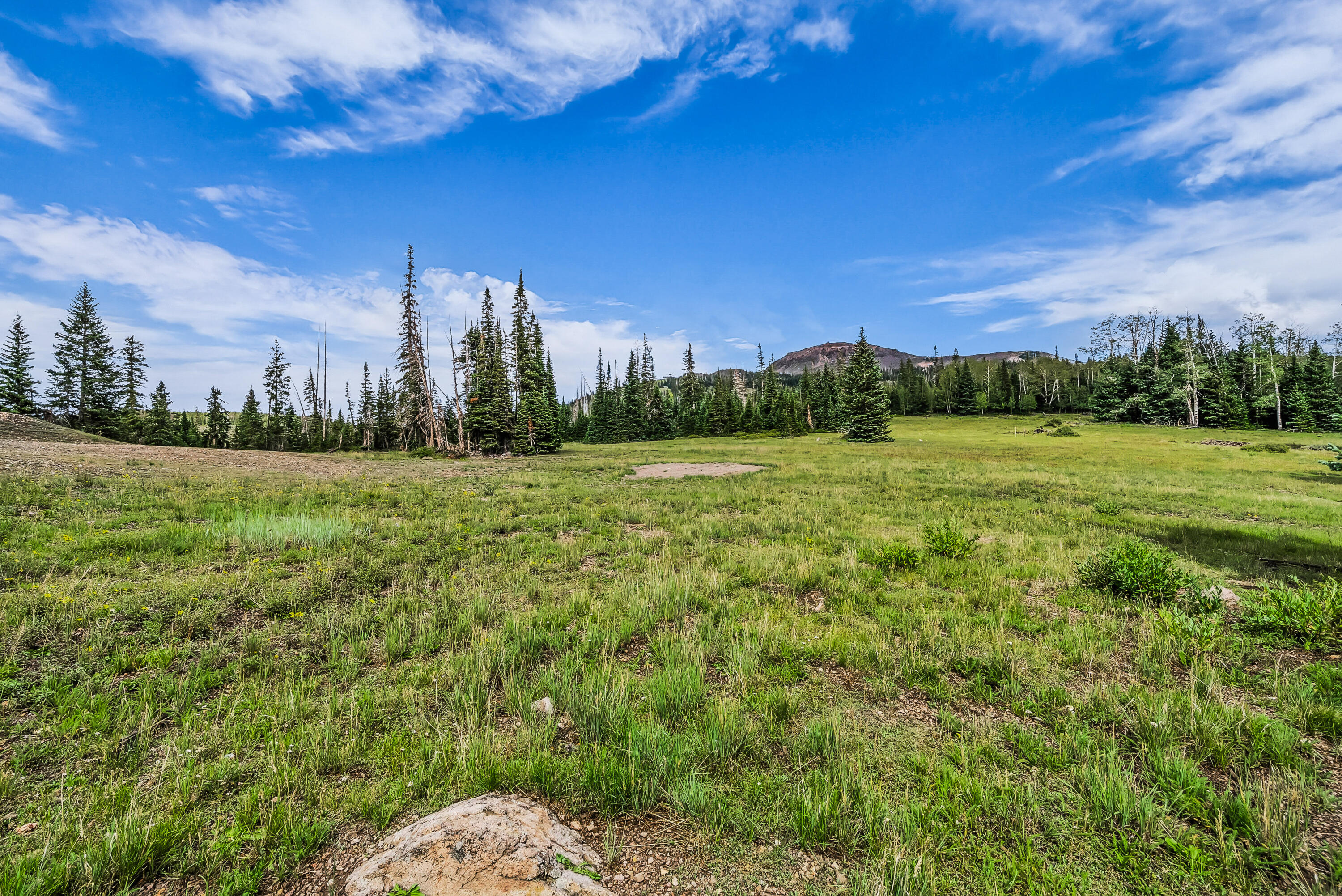 167 Zion View DR