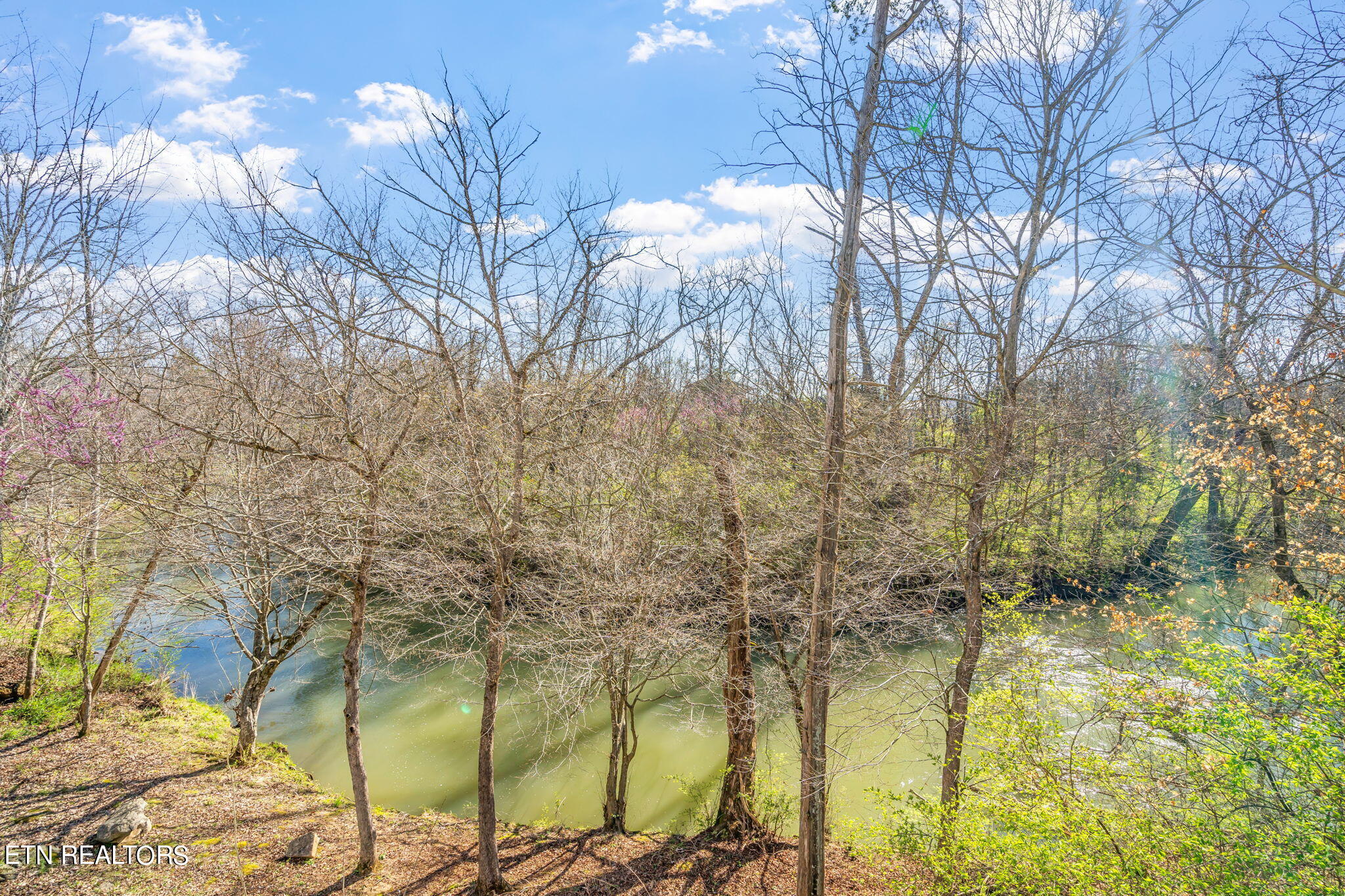 10300 Ivy Hollow Drive