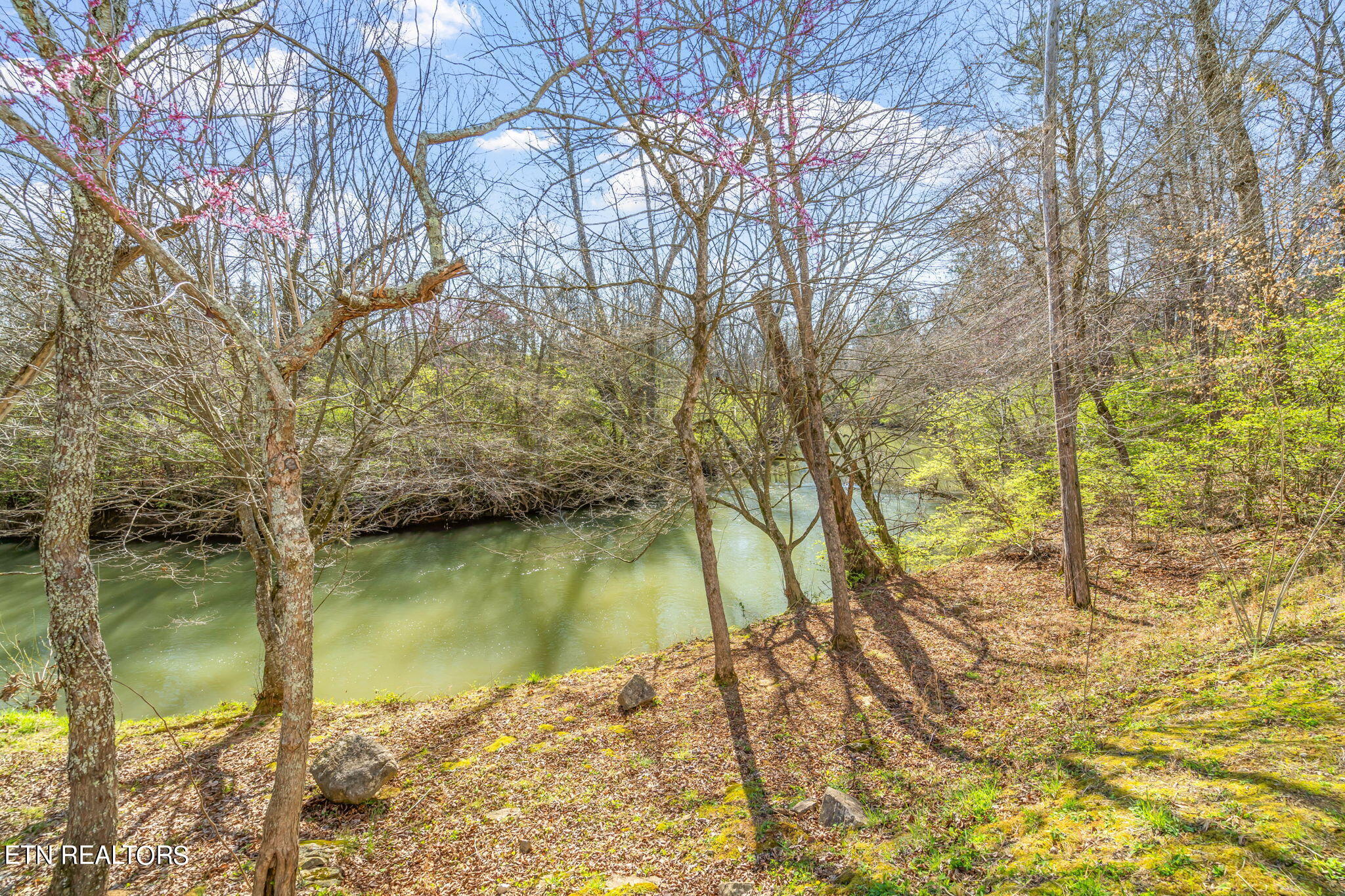 10300 Ivy Hollow Drive