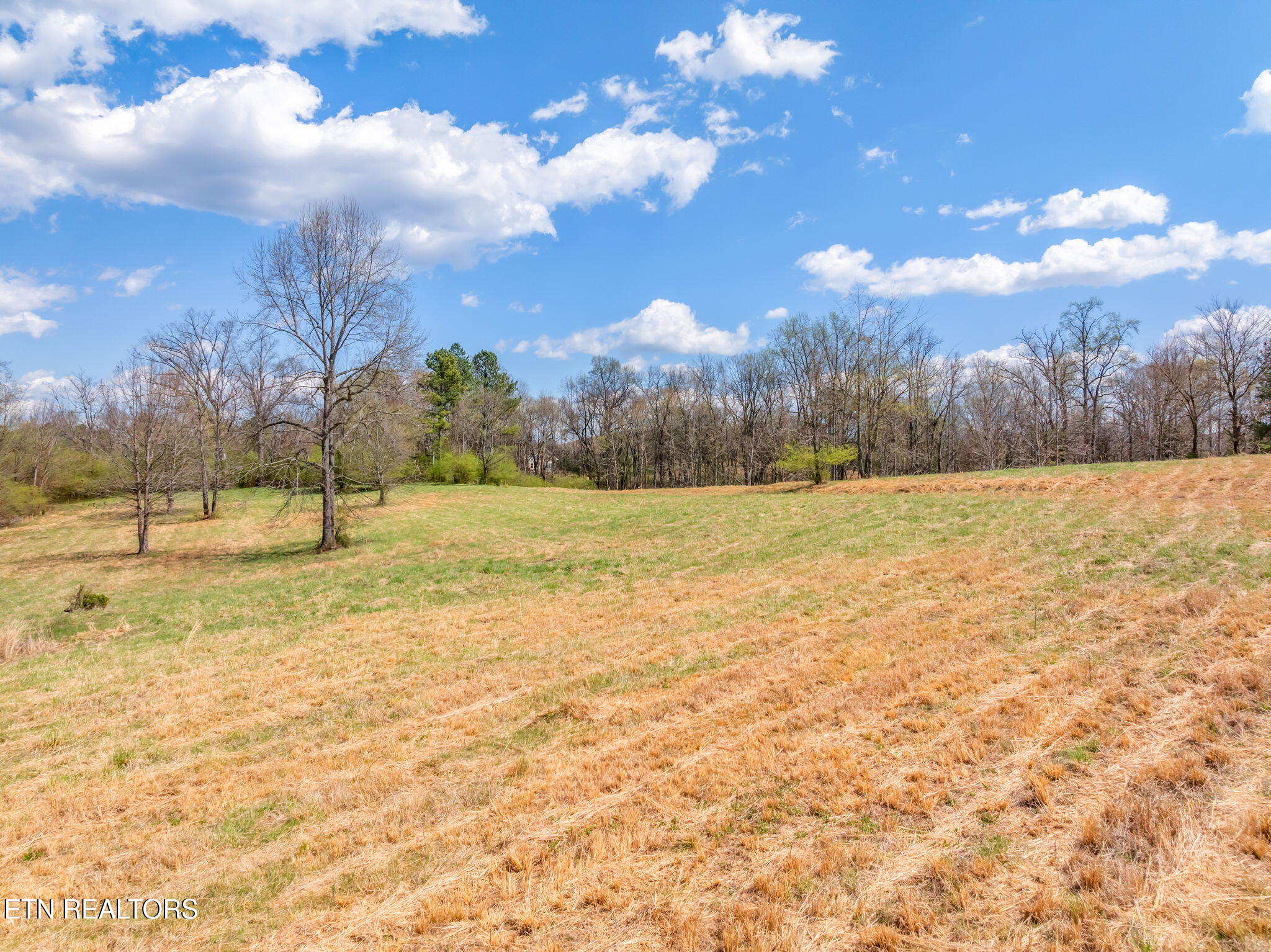 879 Poplar Springs Blair Bend