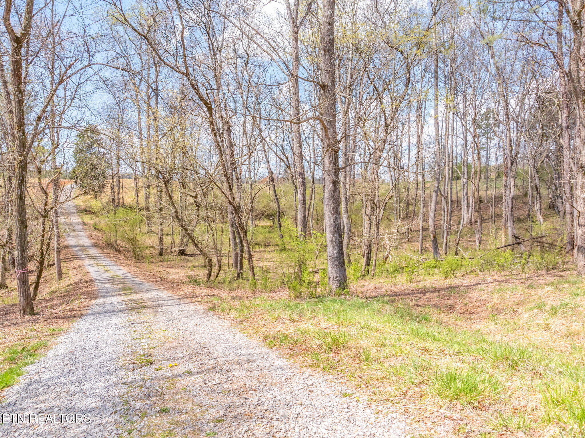 879 Poplar Springs Blair Bend