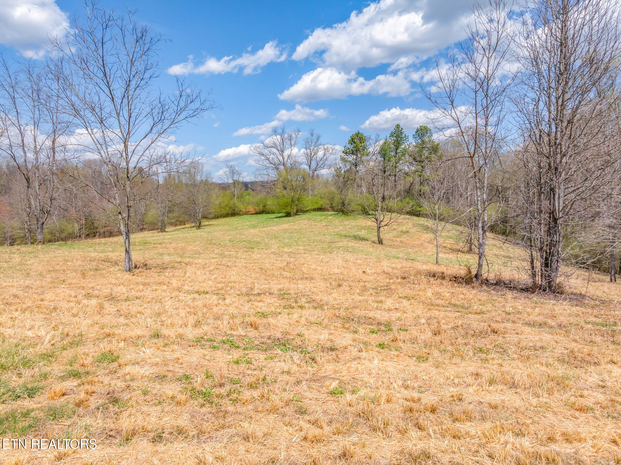 879 Poplar Springs Blair Bend
