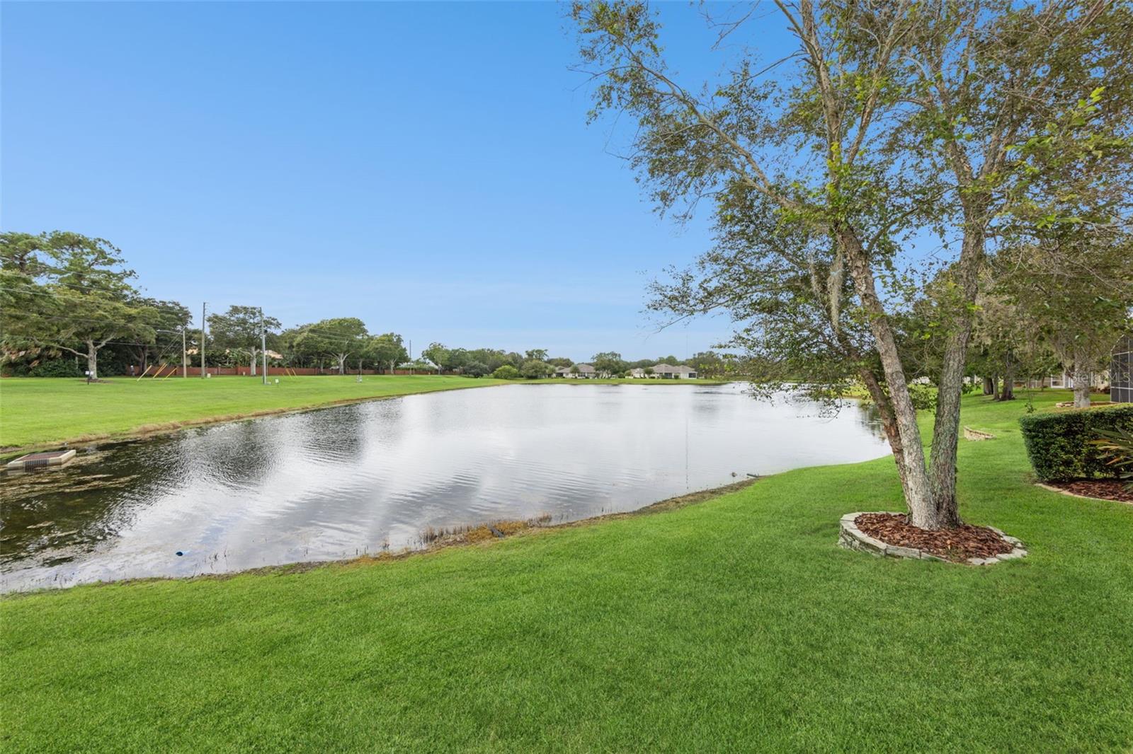 110 LOWER LAKE CT