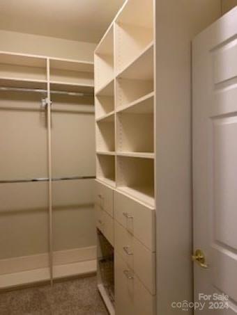 1110 Davant Lane