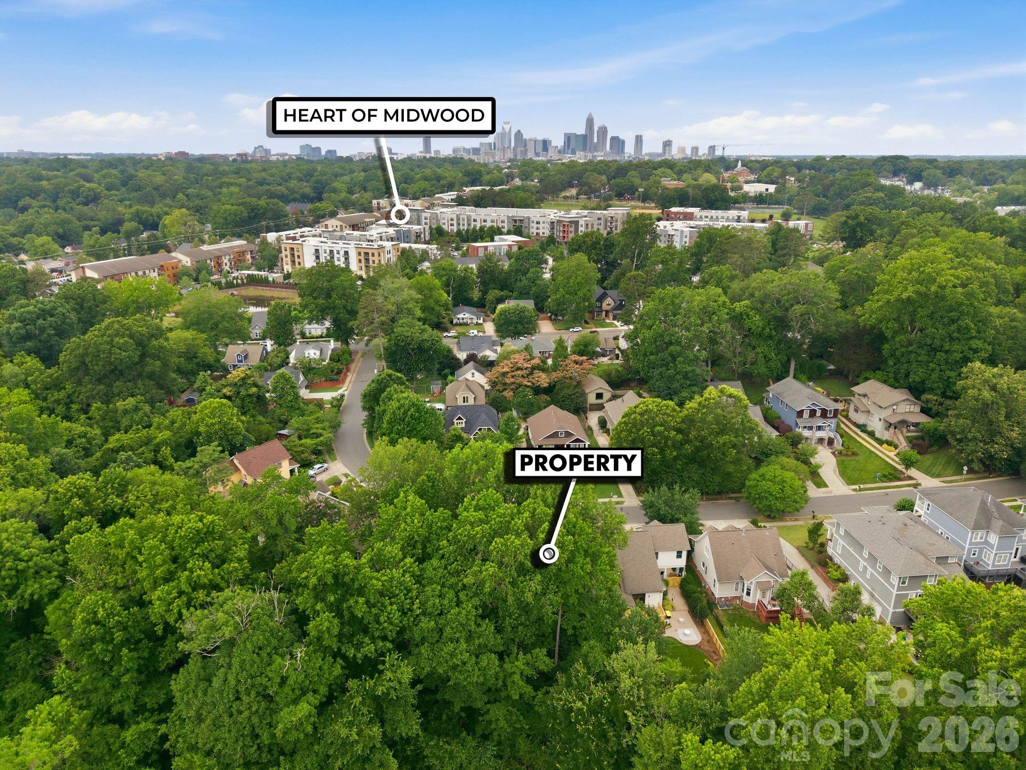 1234 Ivey Drive