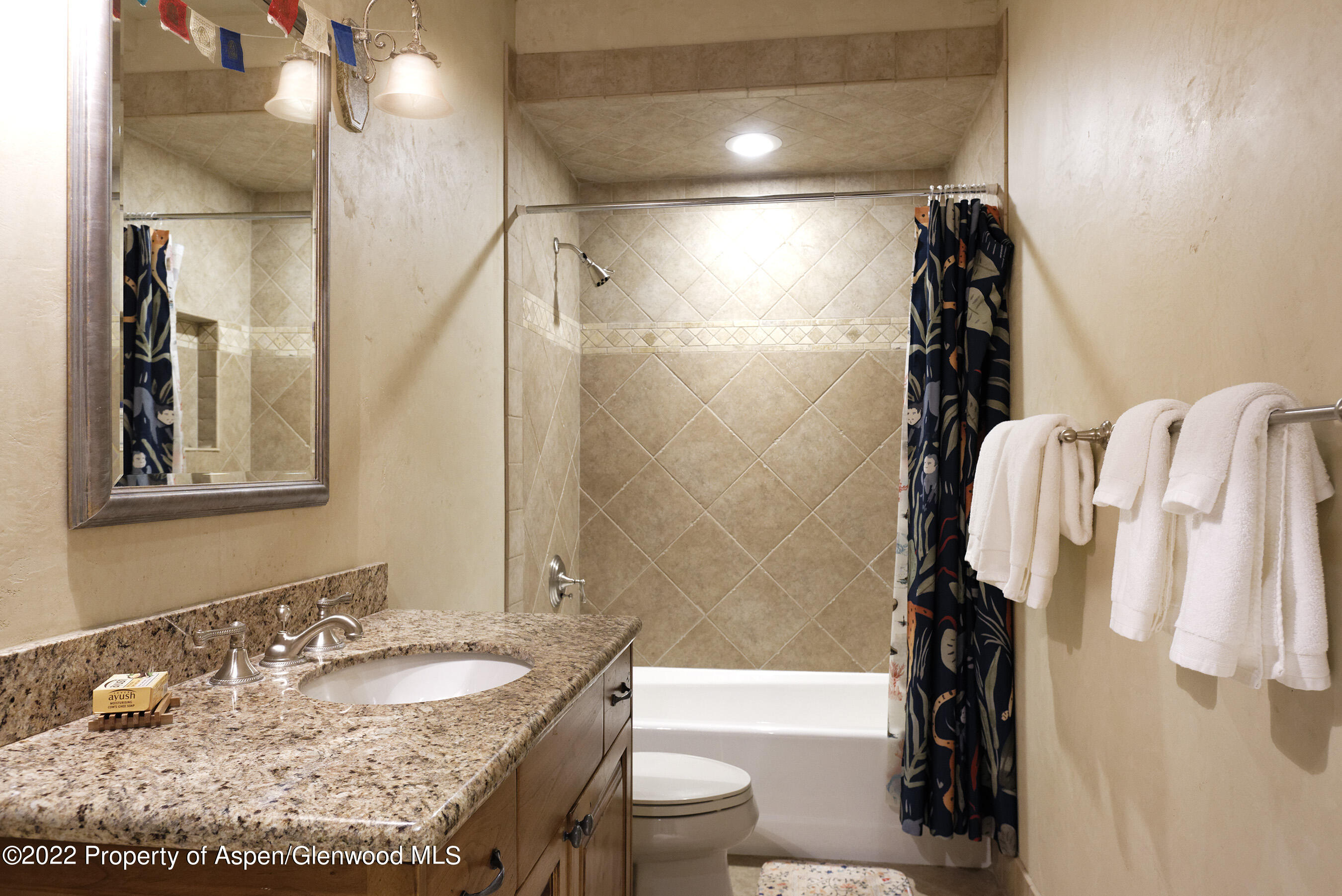 171 Cascade Lane, Aspen