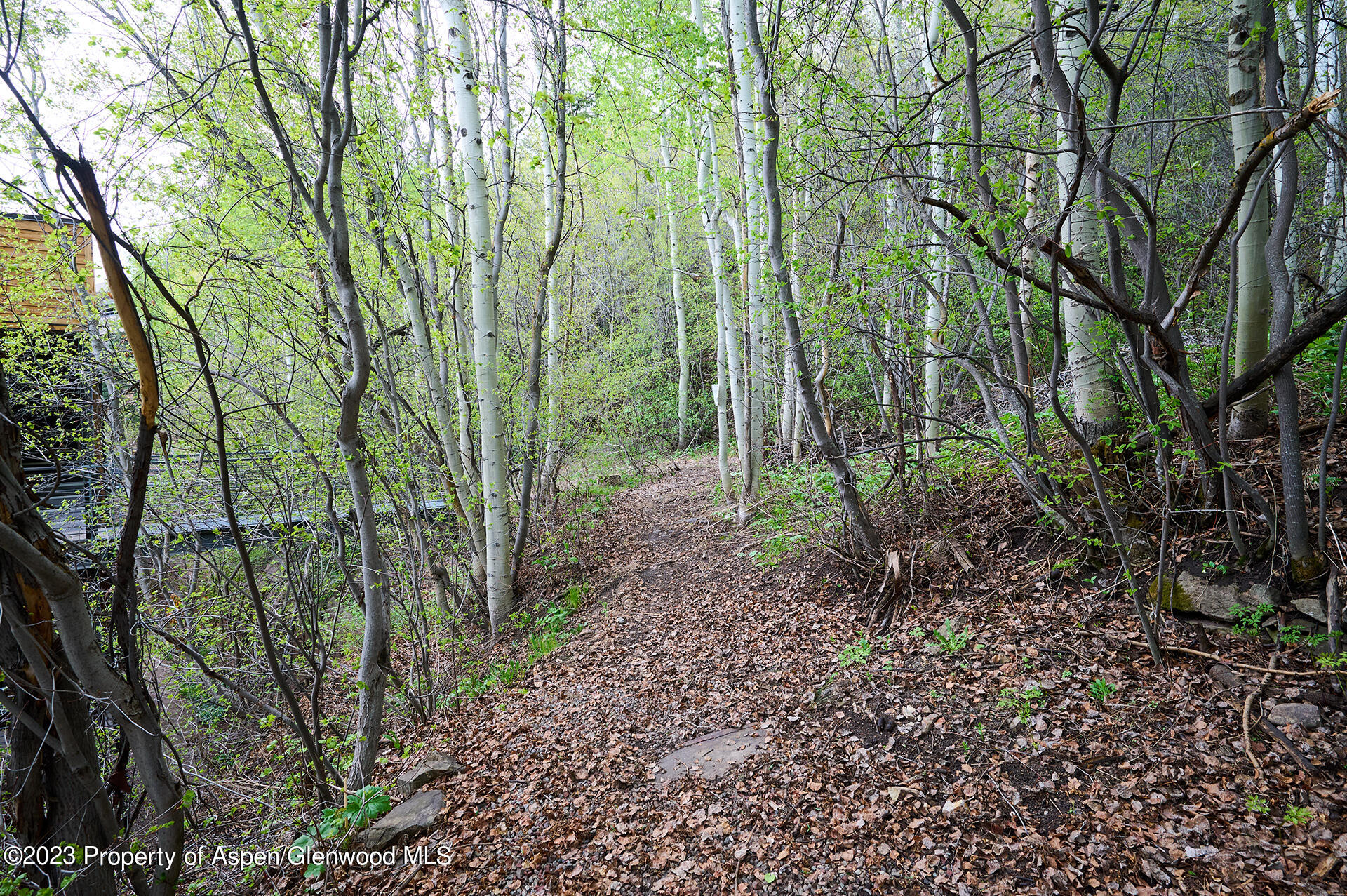 800 S Mill Street, 105