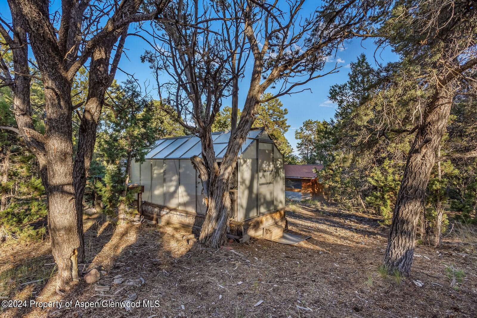 1026 County Road 112