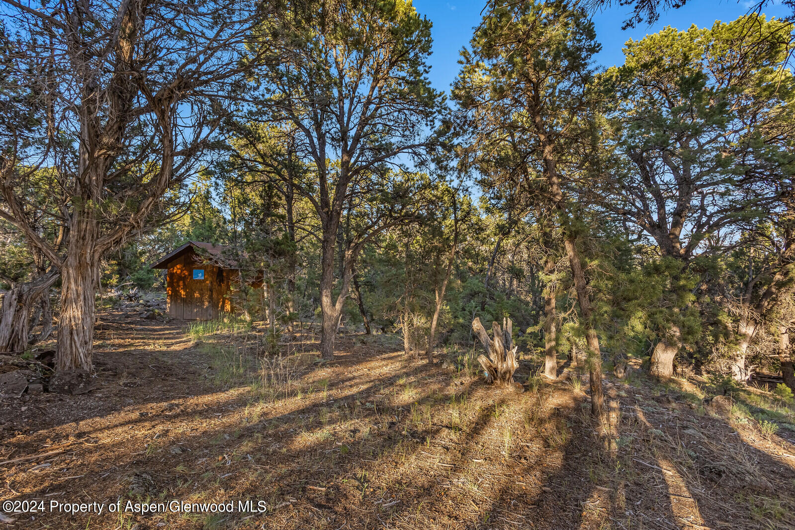 1026 County Road 112