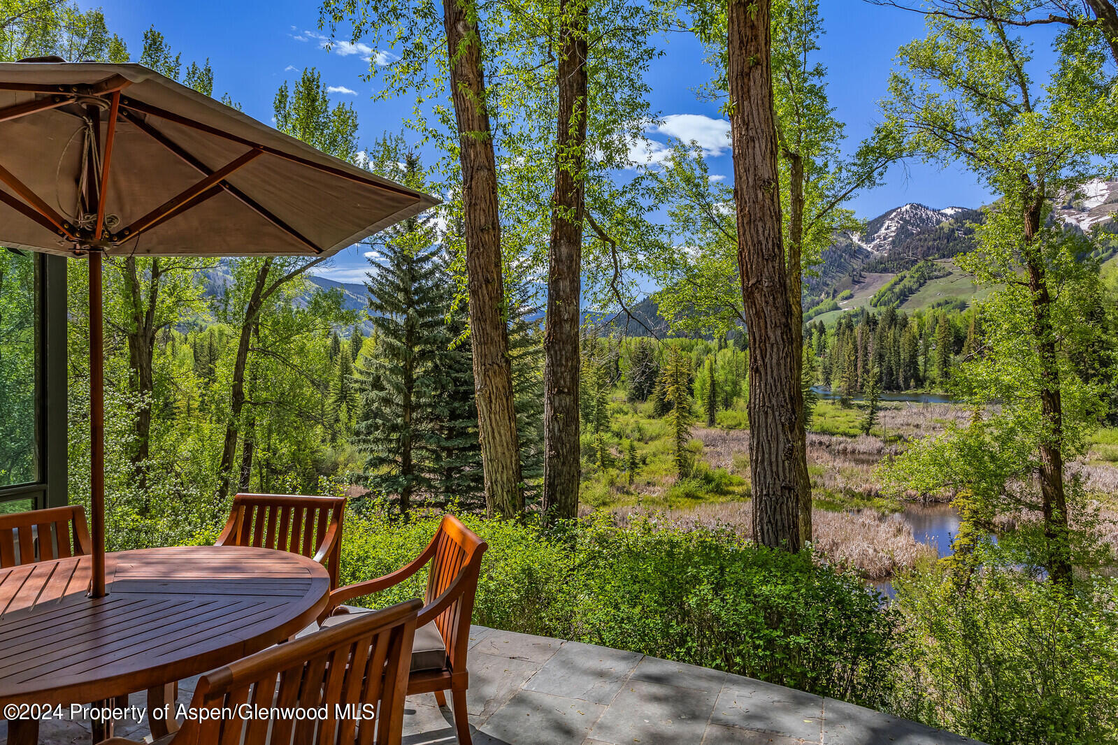 844 ROARING FORK Road