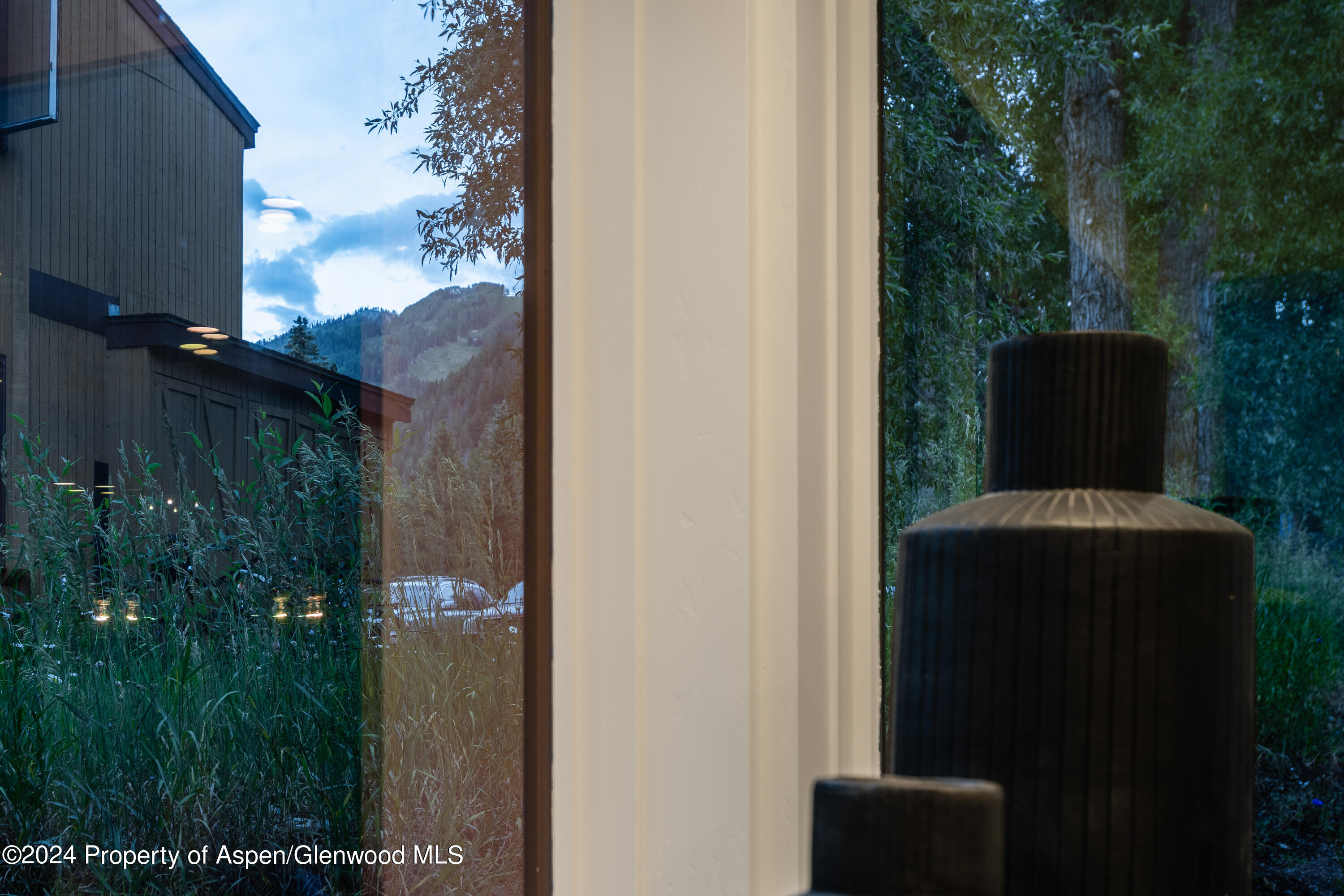 813 W Smuggler Street, Aspen