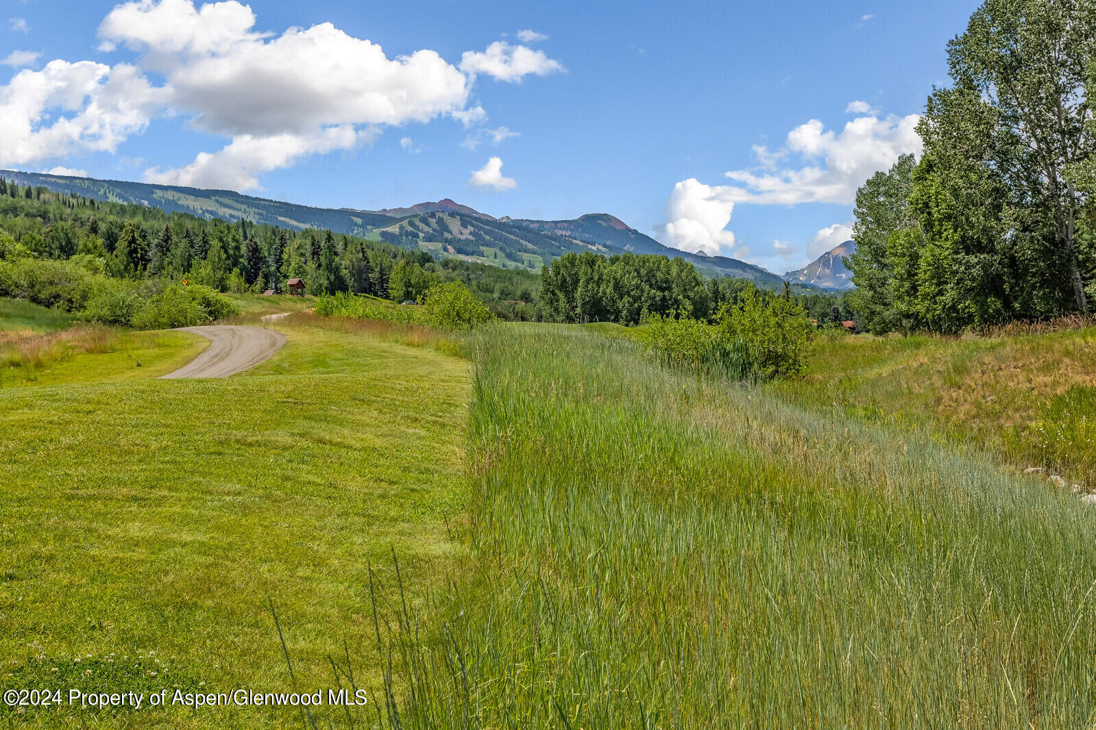 52 Harleston Green, 39