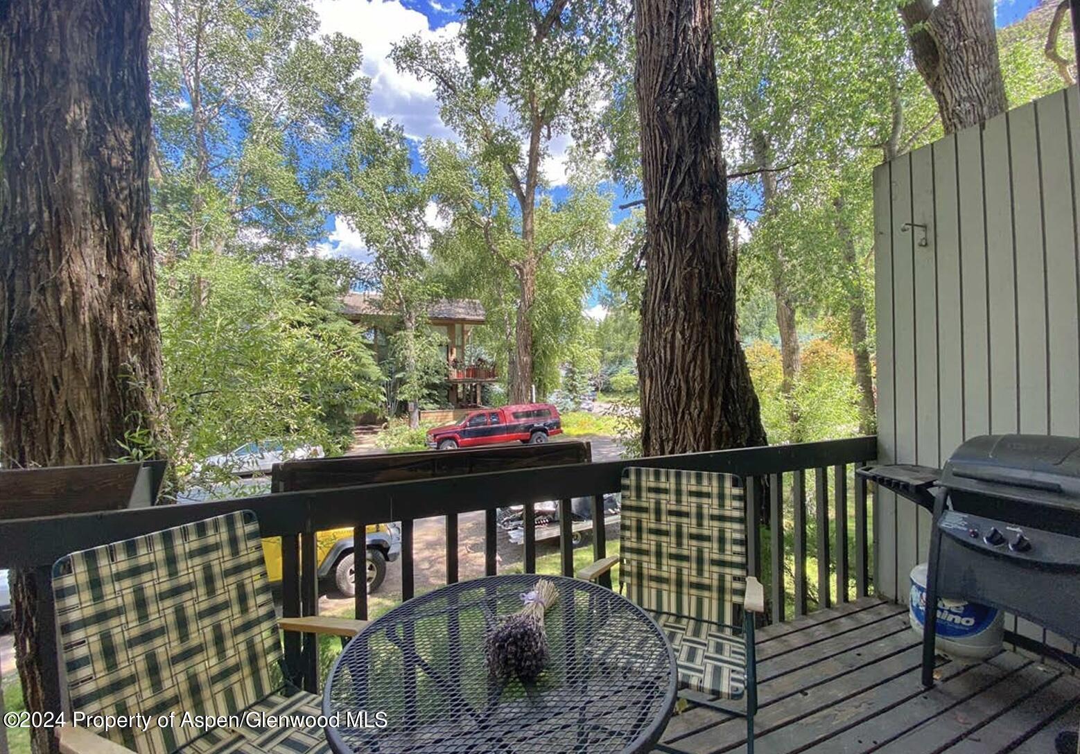 700 W Hopkins Avenue, #2