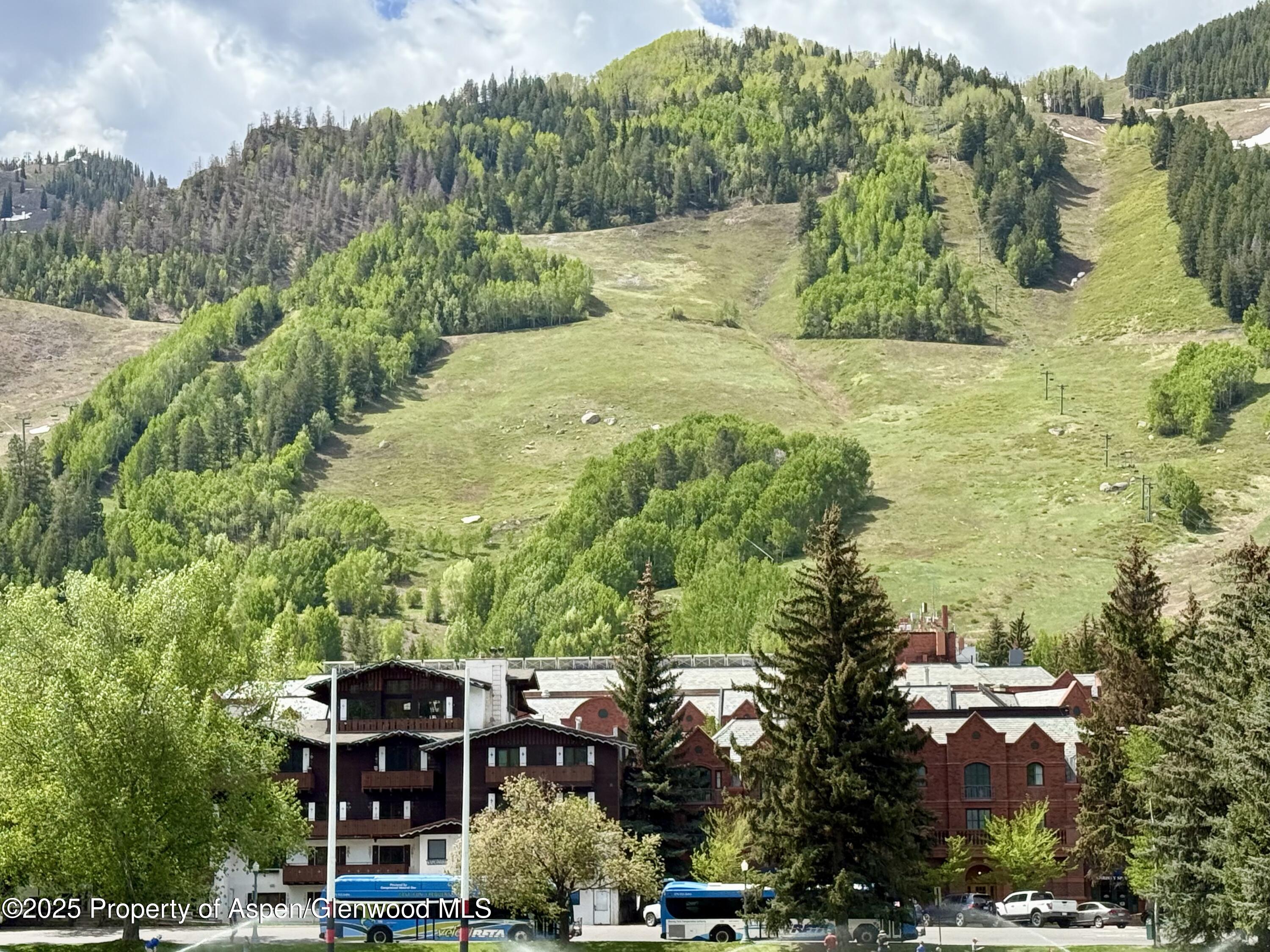 301 E Hyman Avenue, #205 (Wks 21,22,38)