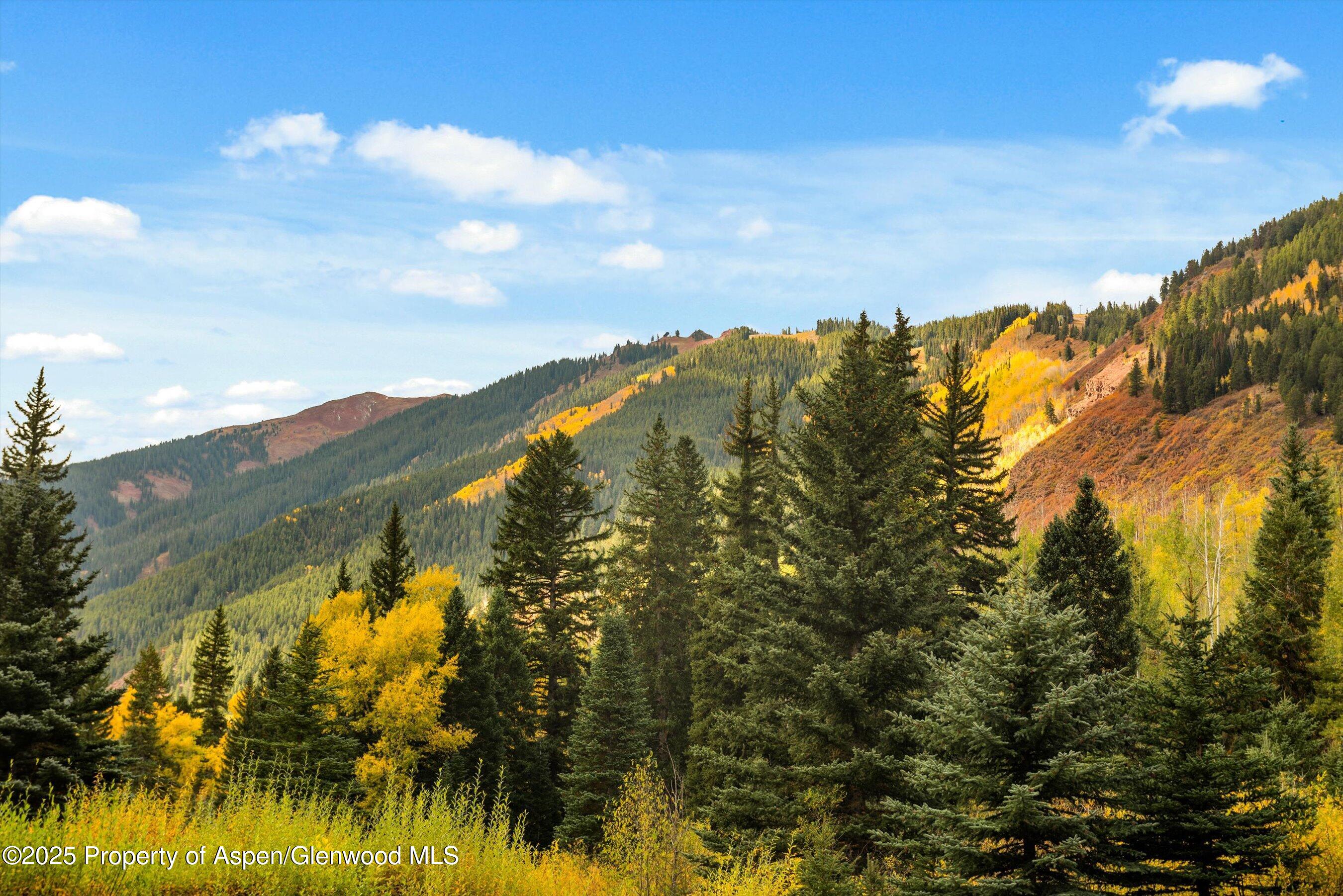 1894 CASTLE CREEK Road